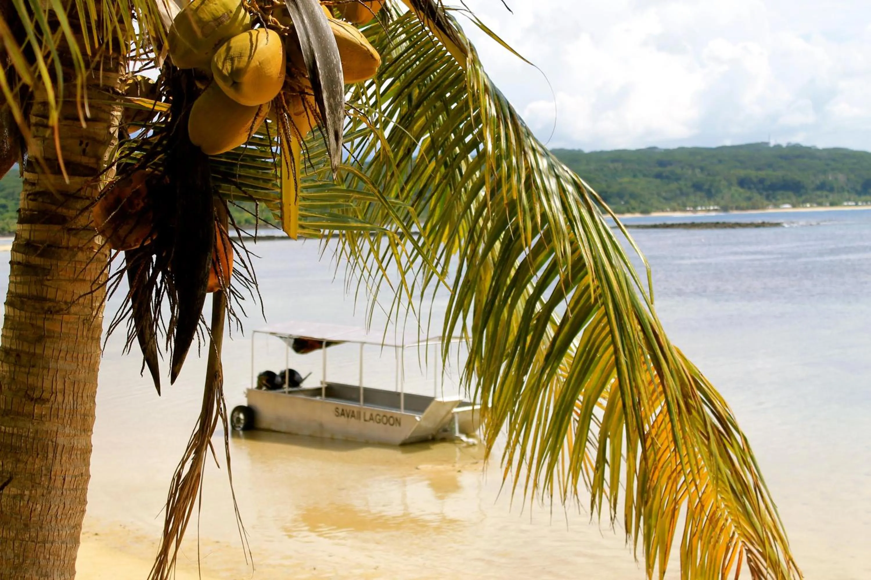 Beach in Savaii Lagoon Resort