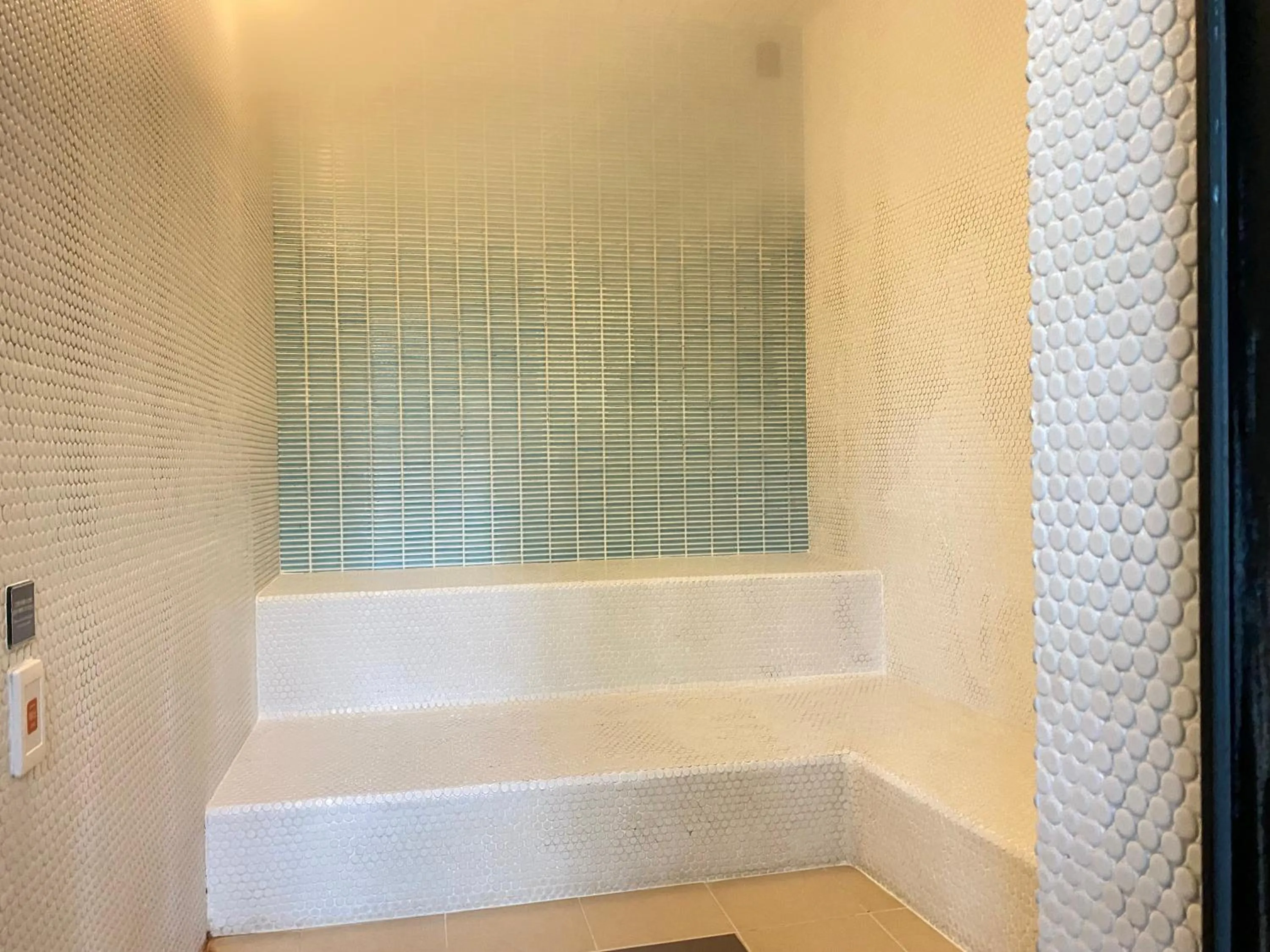 Sauna in Karuizawa Prince Hotel East