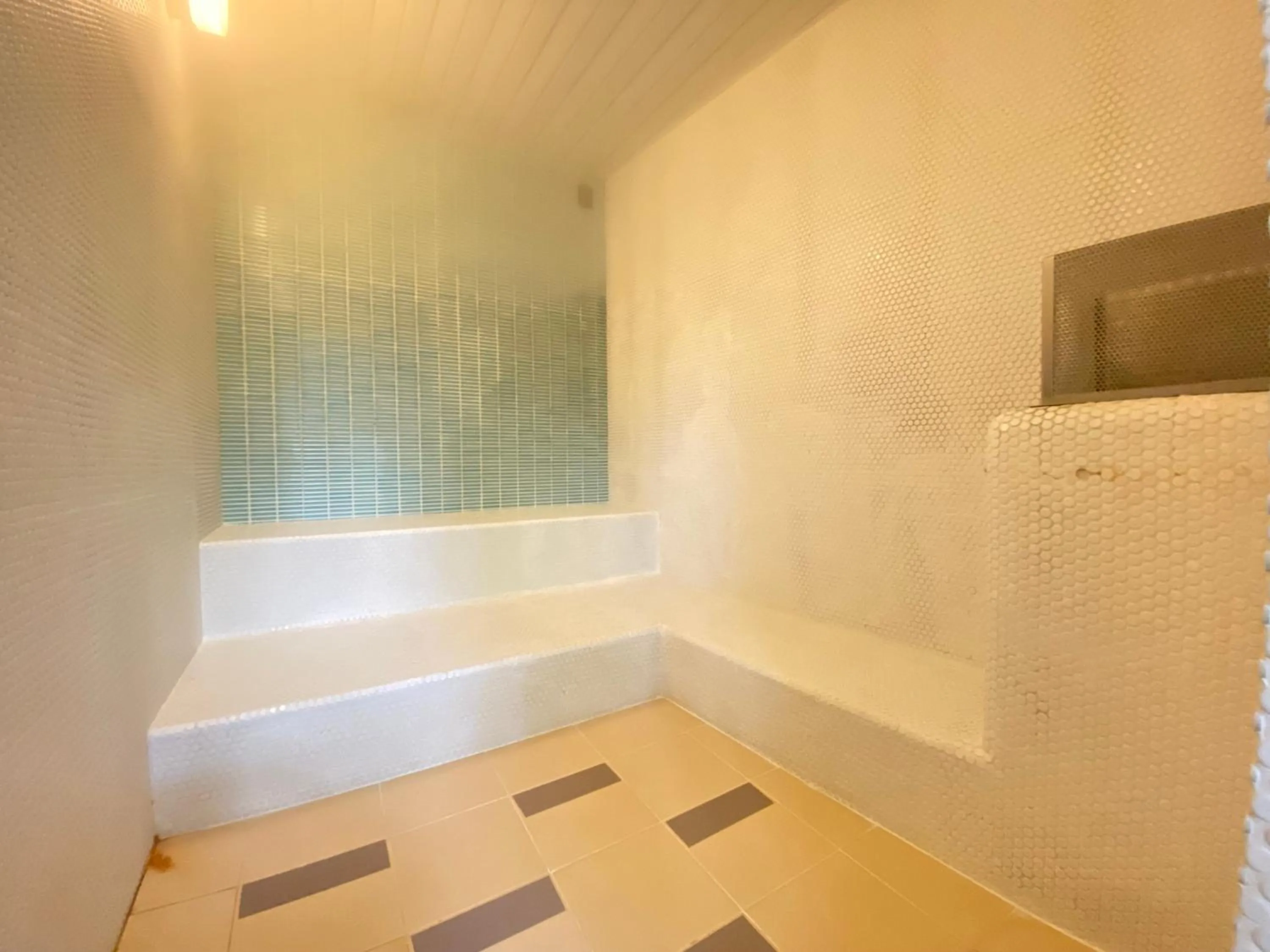 Sauna in Karuizawa Prince Hotel East