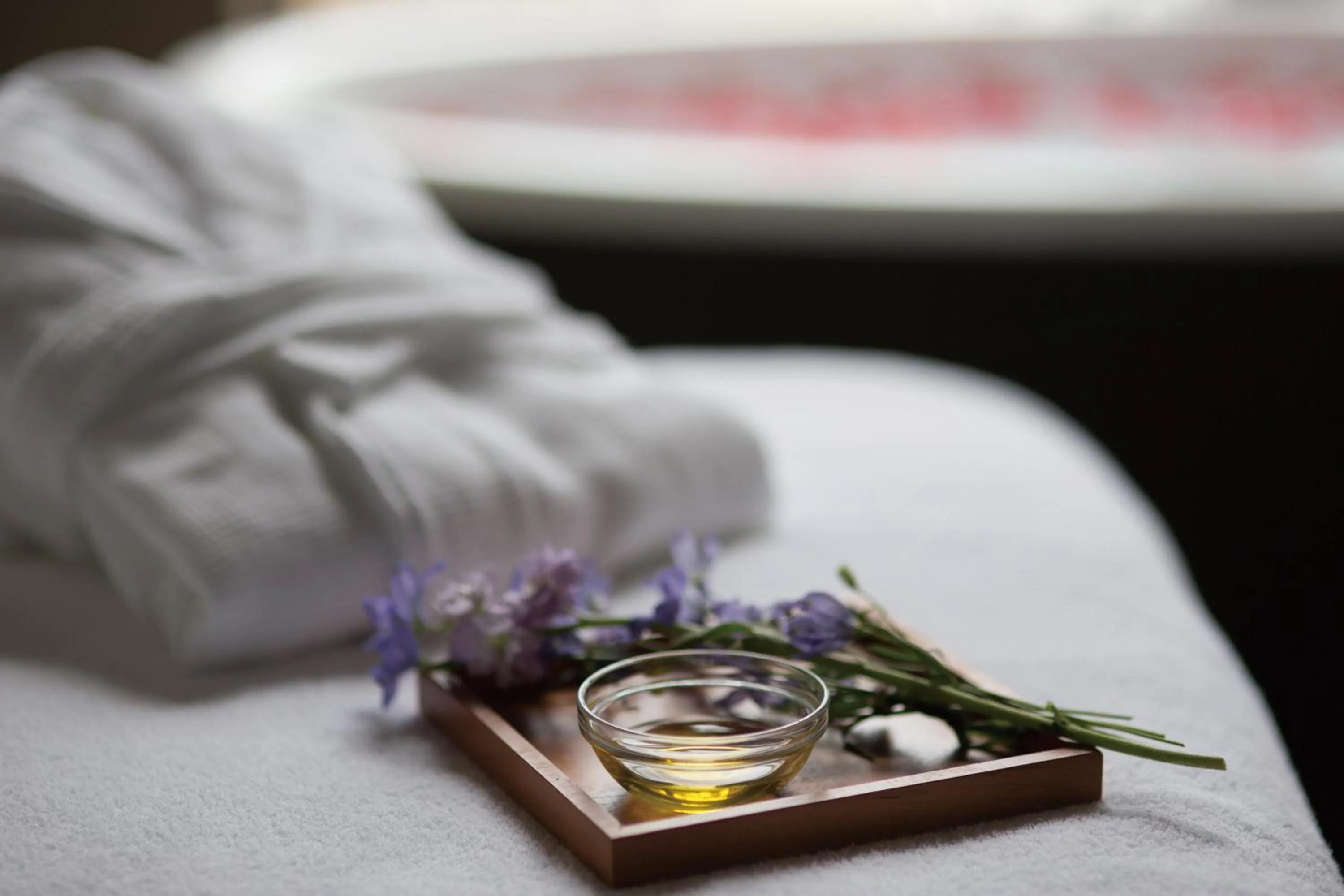 Spa and wellness centre/facilities, Bed in Karuizawa Prince Hotel East