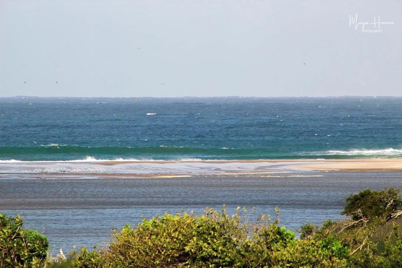 View (from property/room) in Ingwenya Lodge