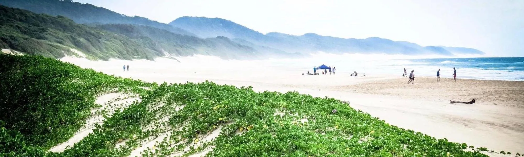 Beach in Ingwenya Lodge