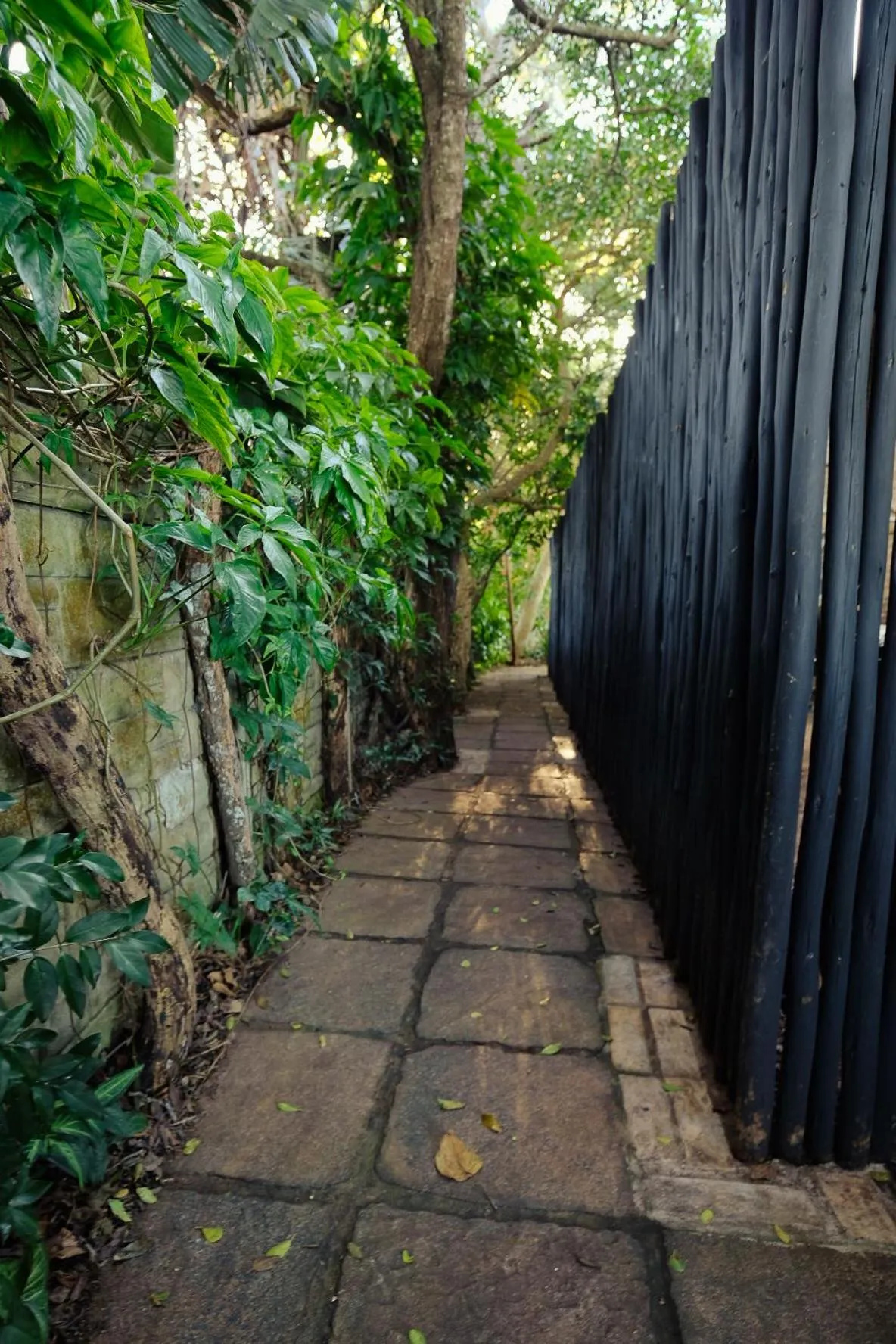 Garden in Ingwenya Lodge