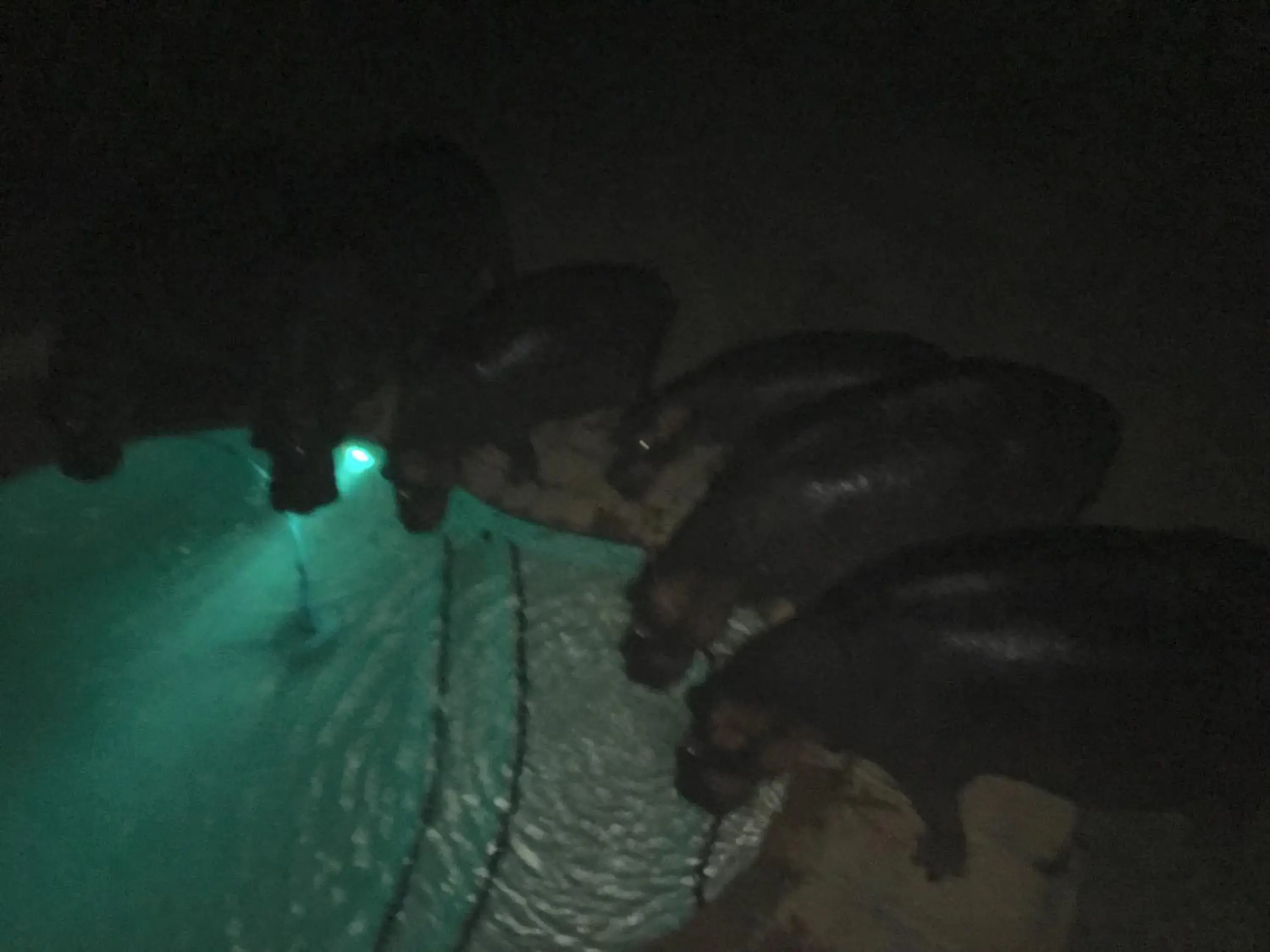 Pool view in Ingwenya Lodge Pool view in Ingwenya Lodge