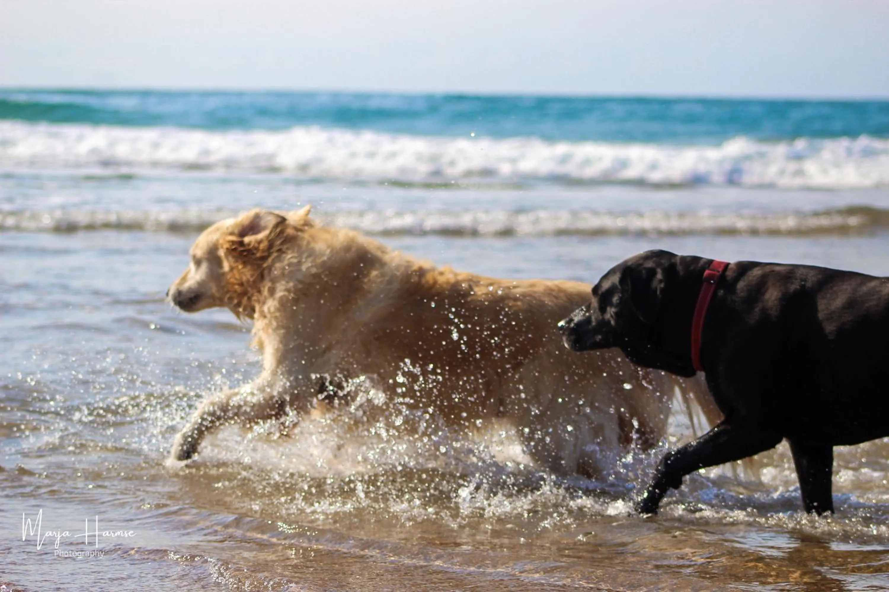 Beach in Ingwenya Lodge
