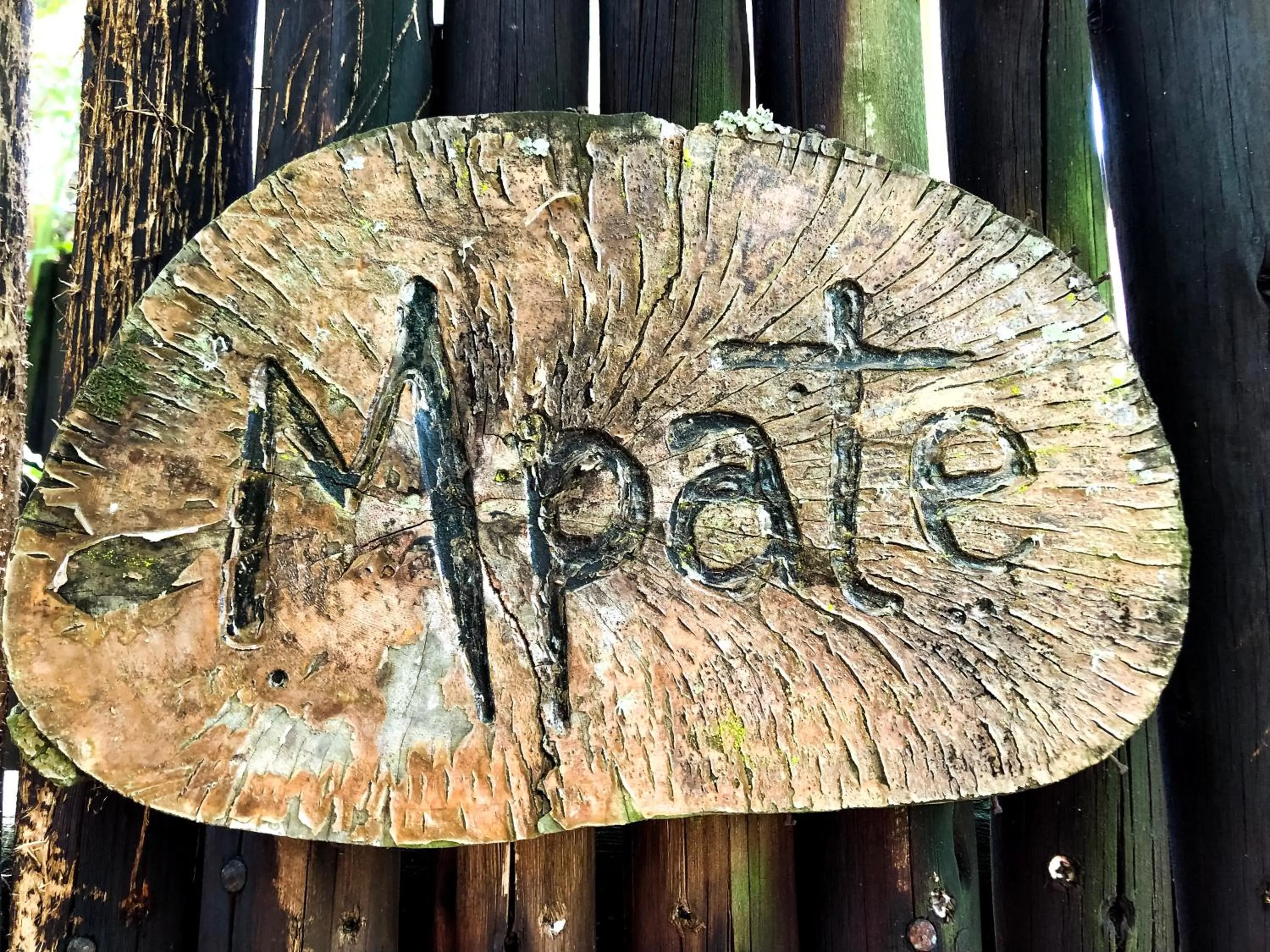 Decorative detail in Ingwenya Lodge