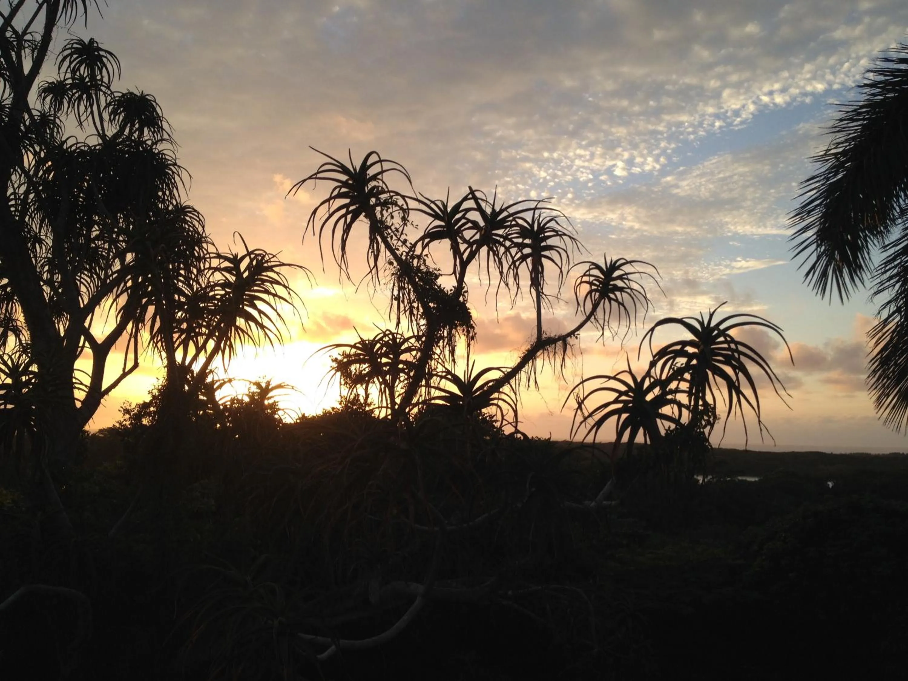Garden view in Ingwenya Lodge