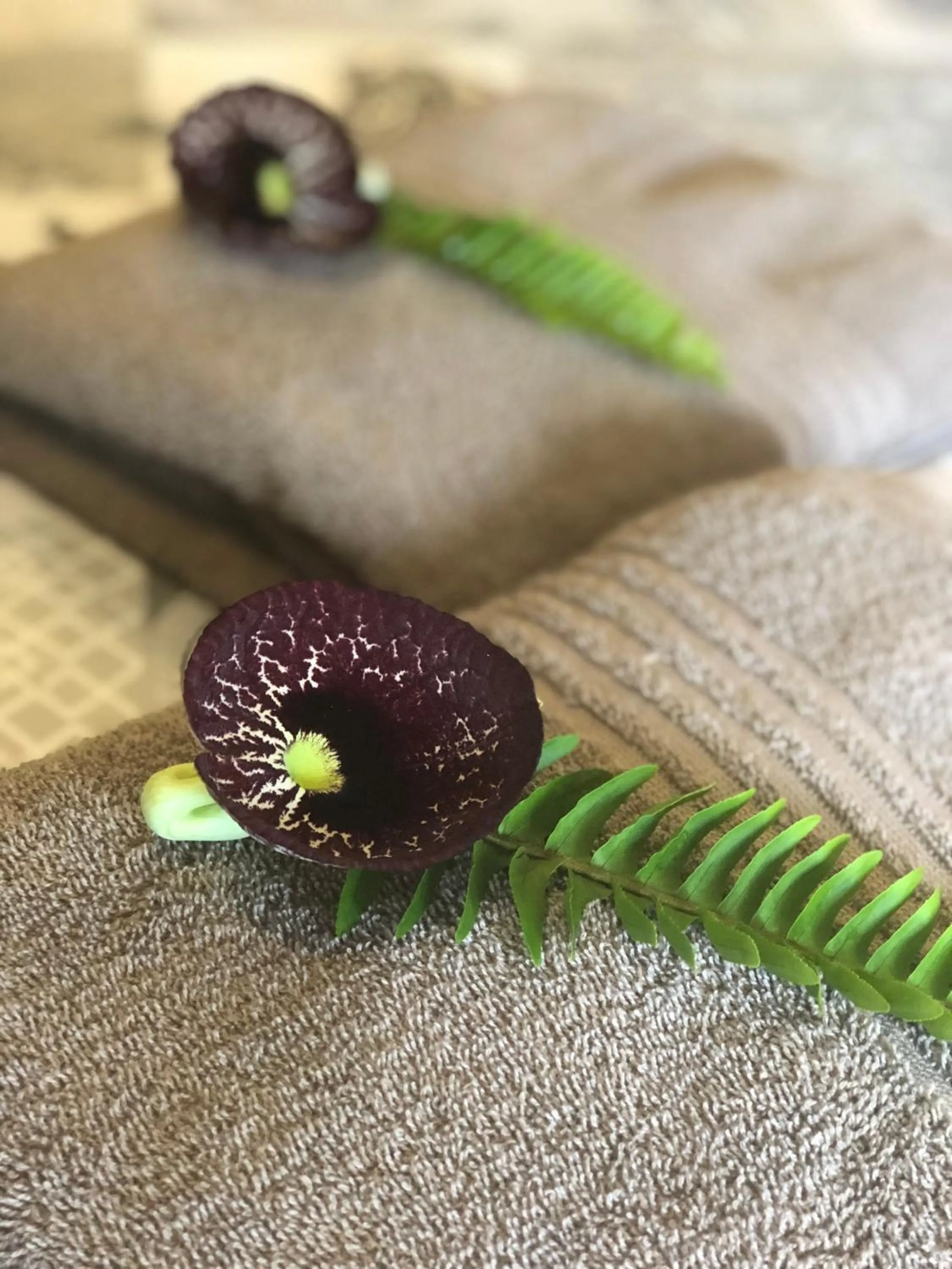 Decorative detail in Ingwenya Lodge