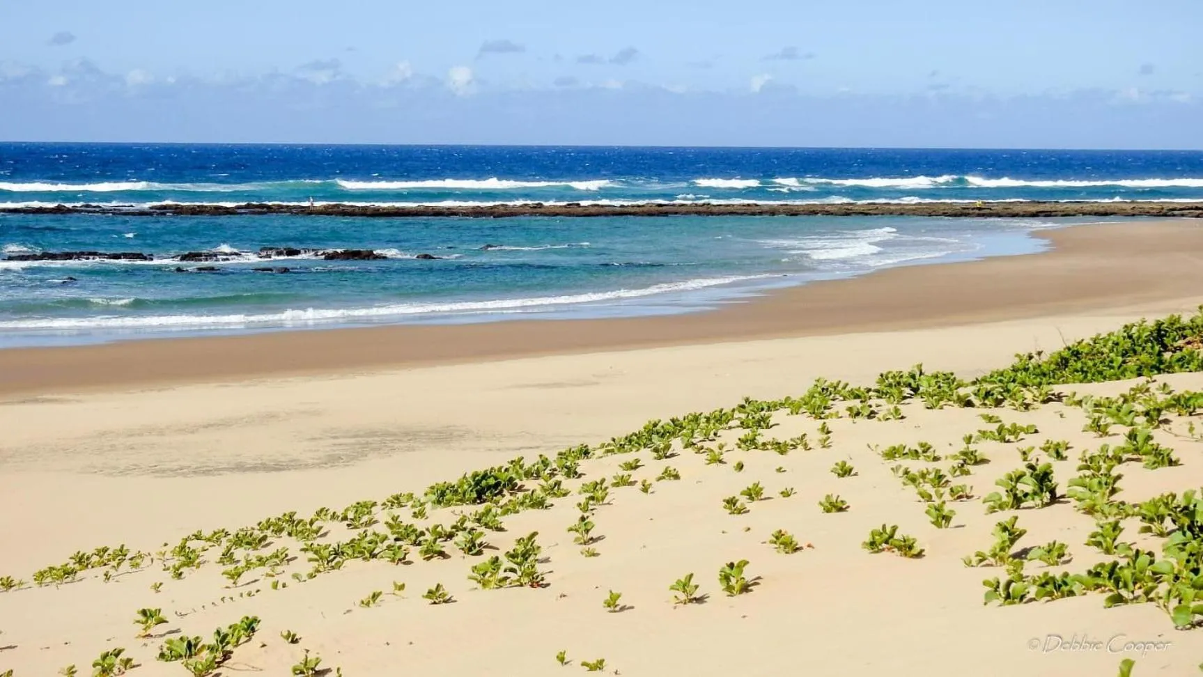 Beach in Ingwenya Lodge