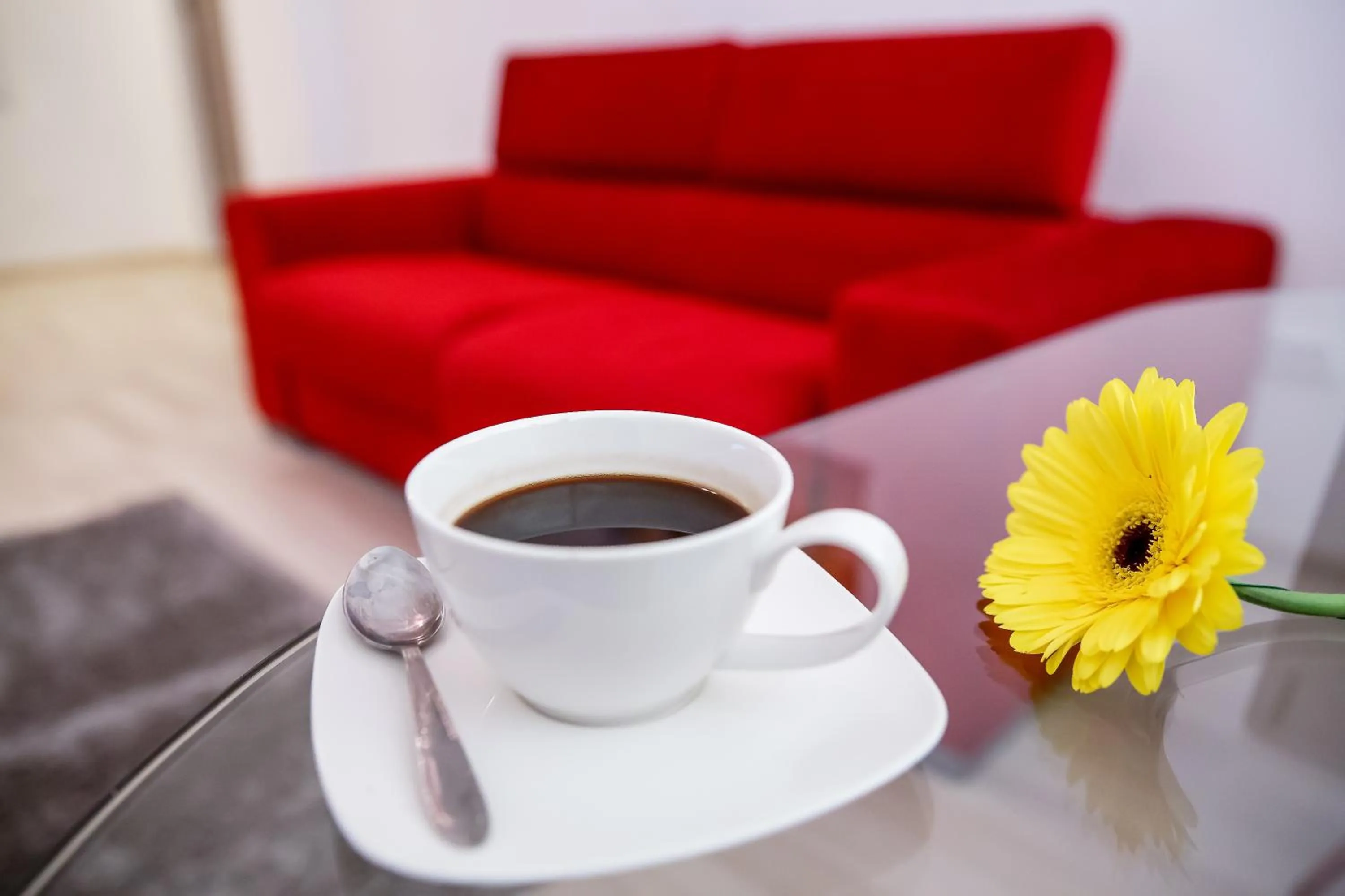 TV and multimedia in Iassium Residence Iasi