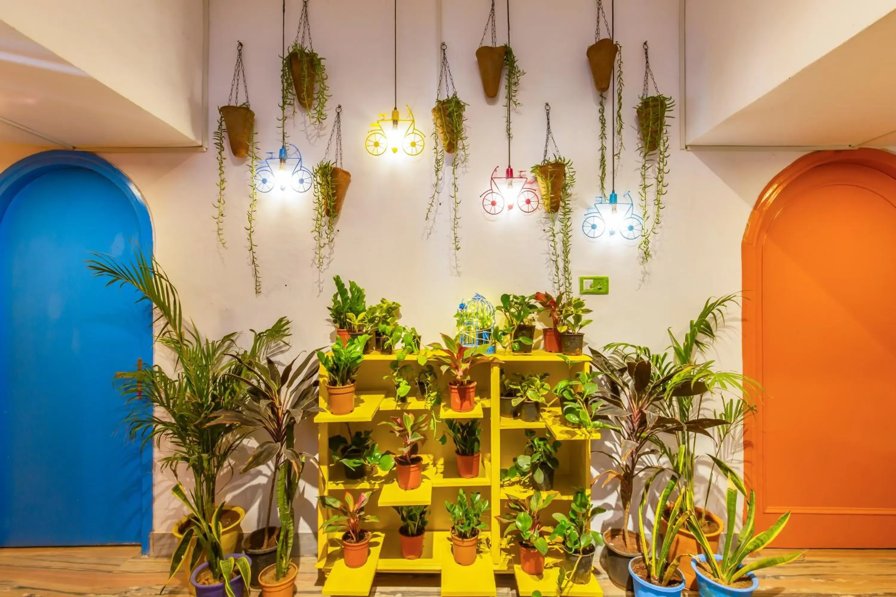 Garden view in goSTOPS Lite Jaipur Garden view in goSTOPS Lite Jaipur