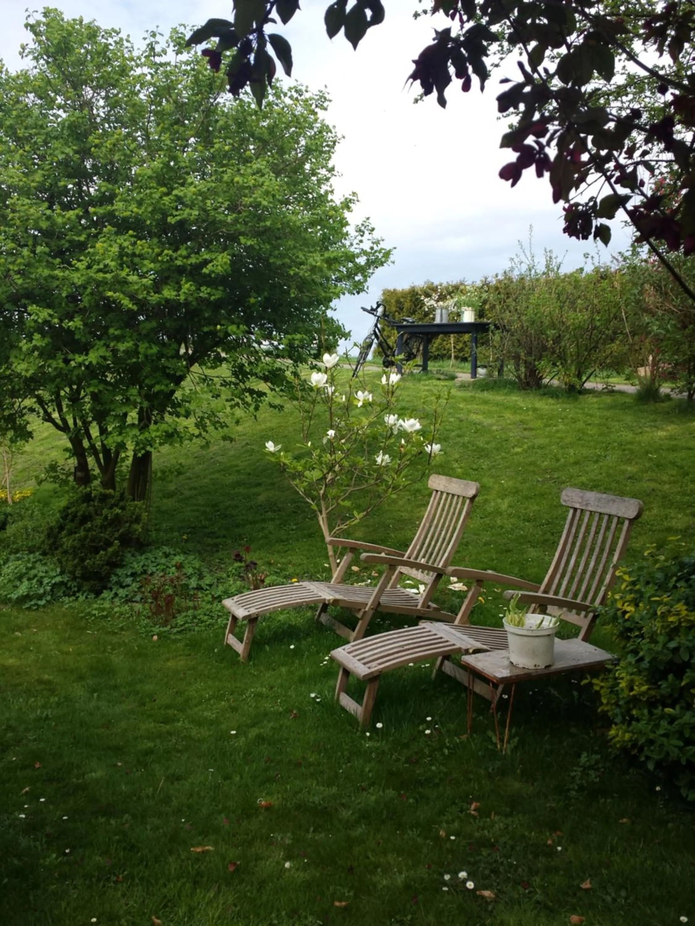 B&B aan de Limes in Maurik