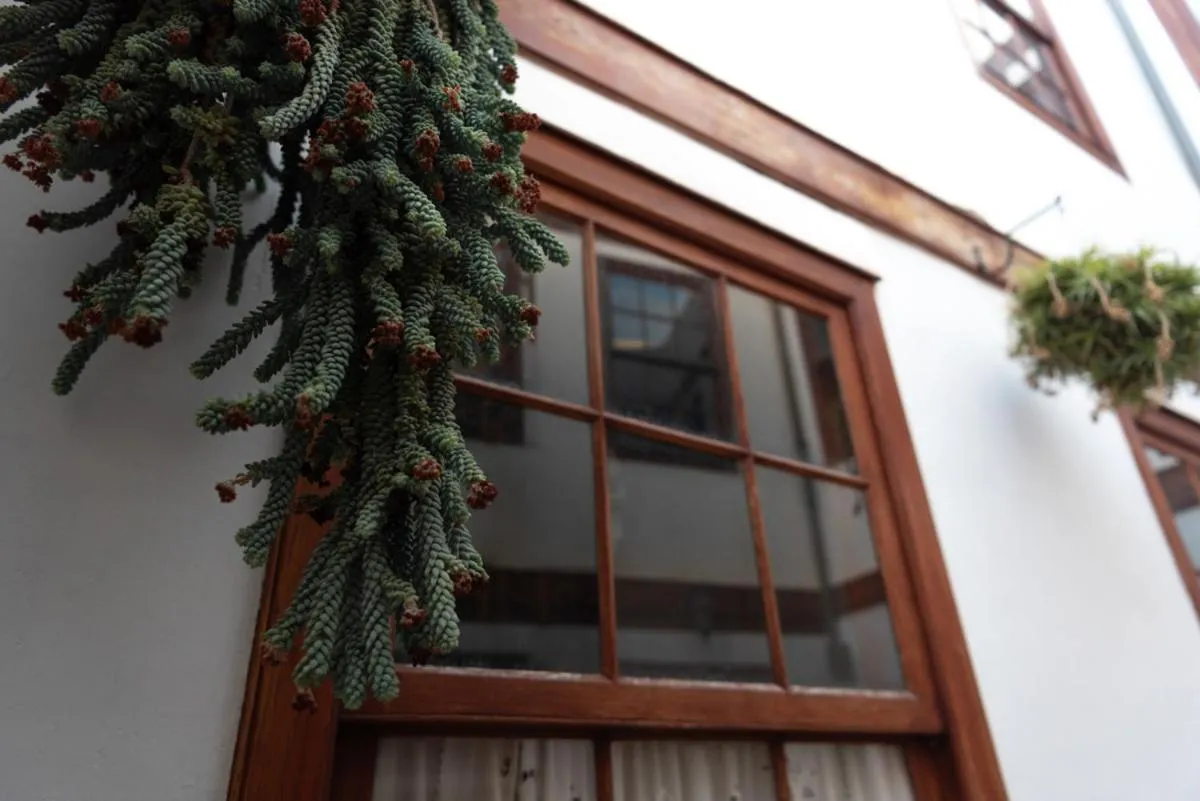 Casa emblemática Buenavista del Norte