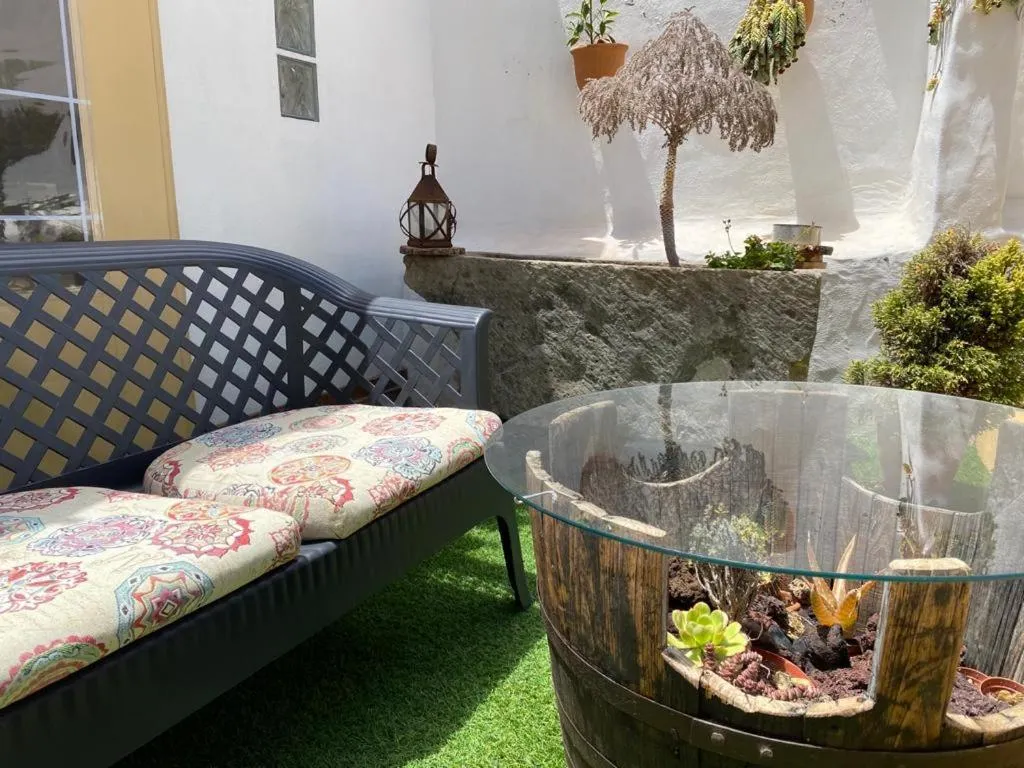 Garden in Casa emblemática Buenavista del Norte