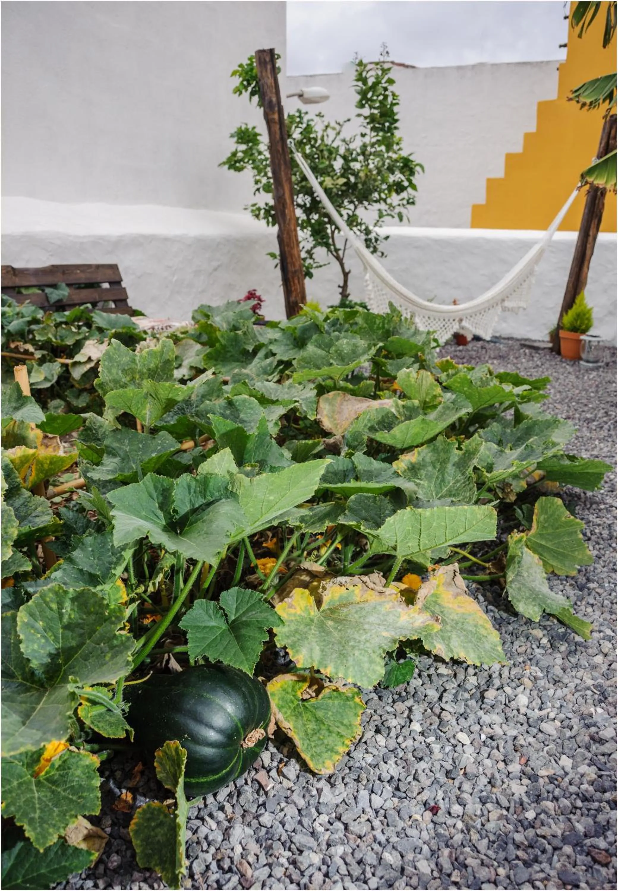Property building in Casa emblemática Buenavista del Norte