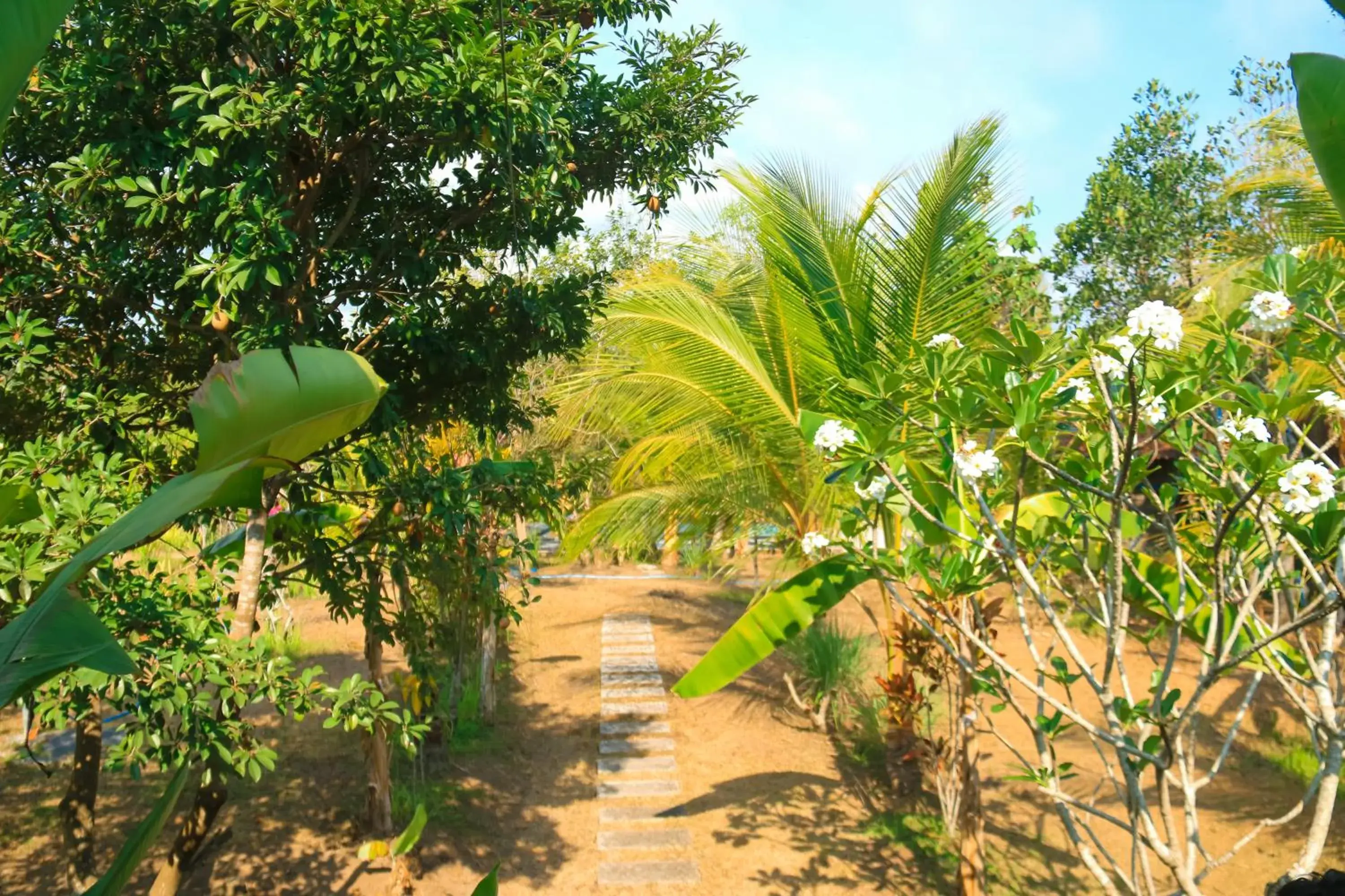 Double or Twin Room in Pondok Balian Double or Twin Room in Pondok Balian