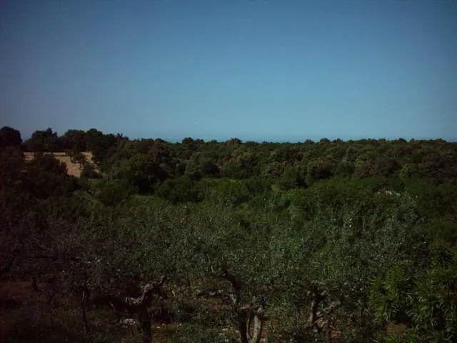 Trullocarluccio