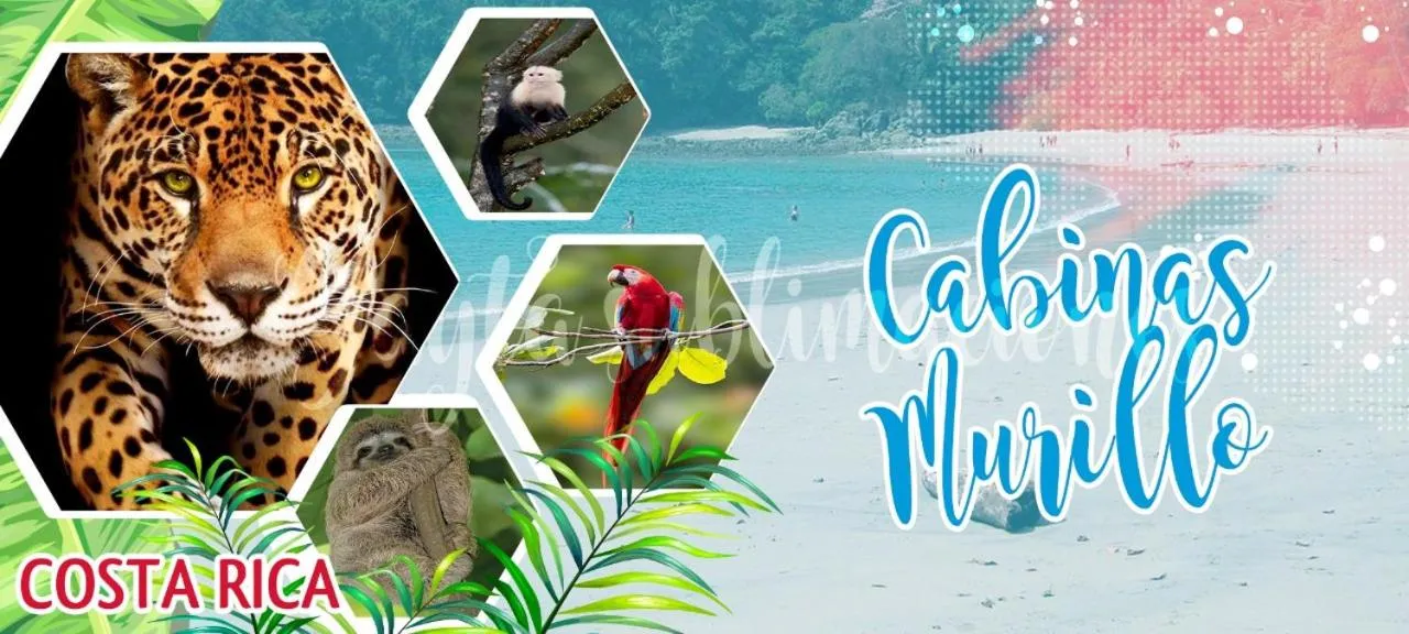 Hotel Cabinas Murillo