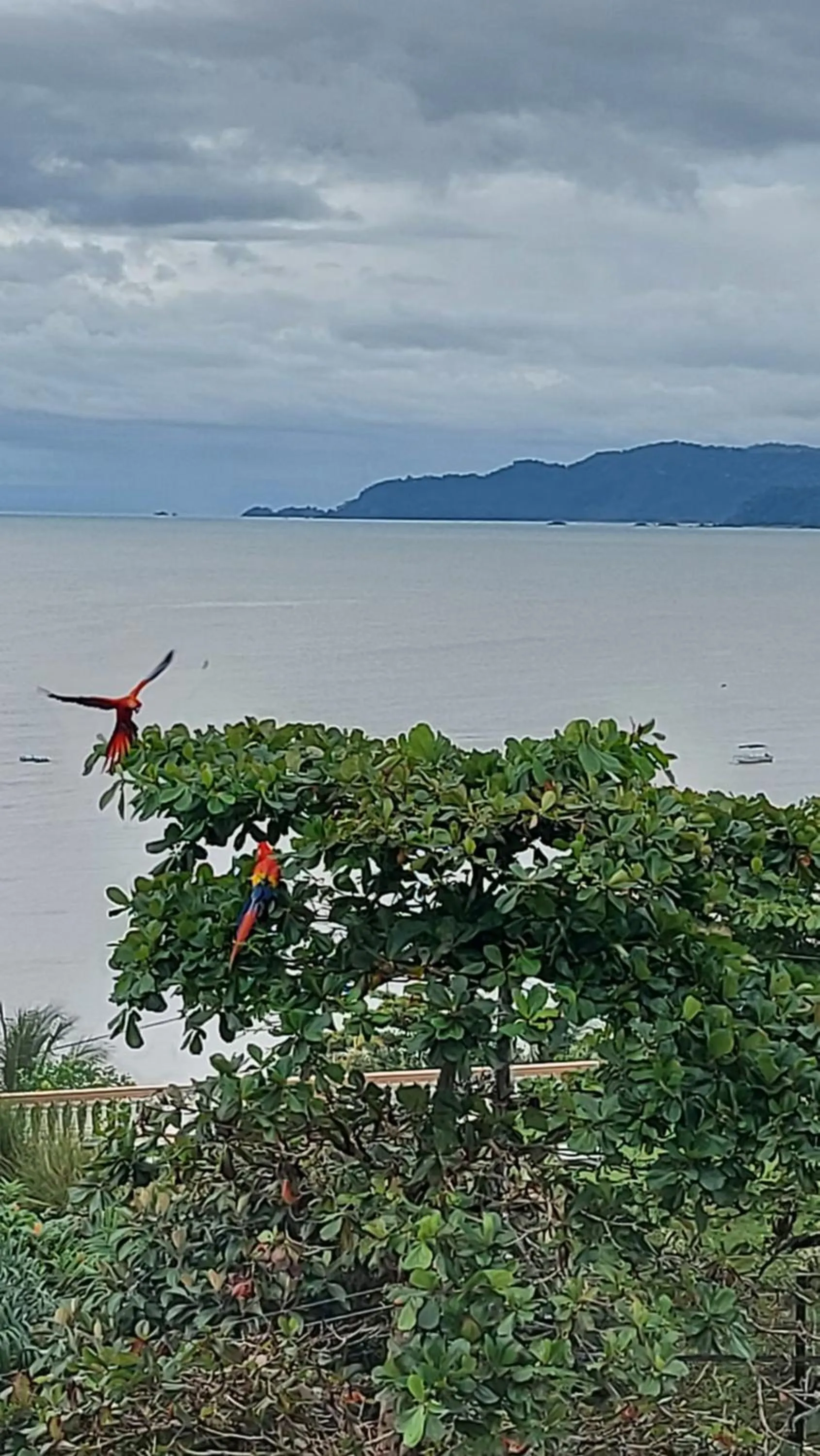 Hotel Cabinas Murillo