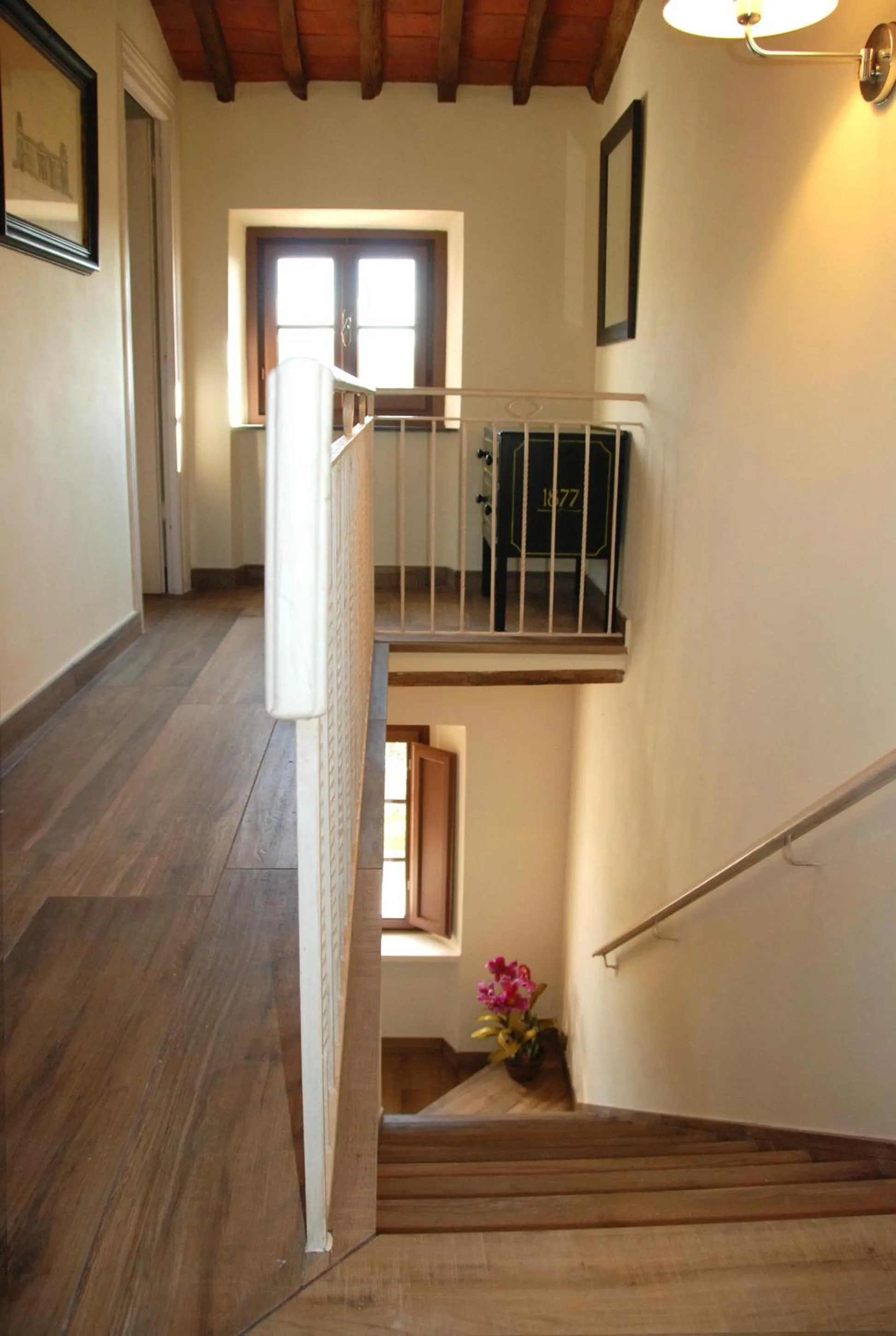 Area and facilities in Casale Olea