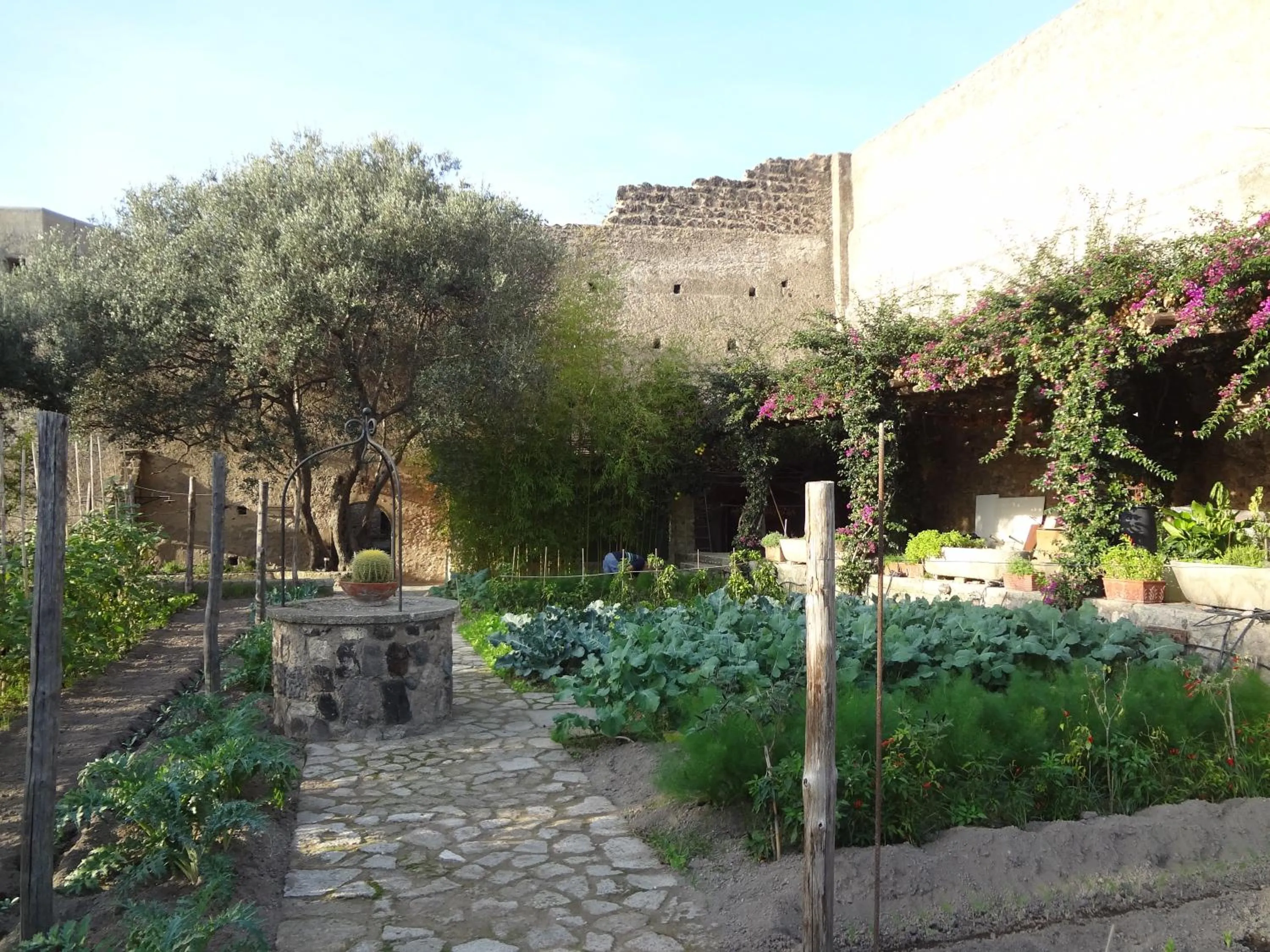 Garden view in Albergo Il Monastero