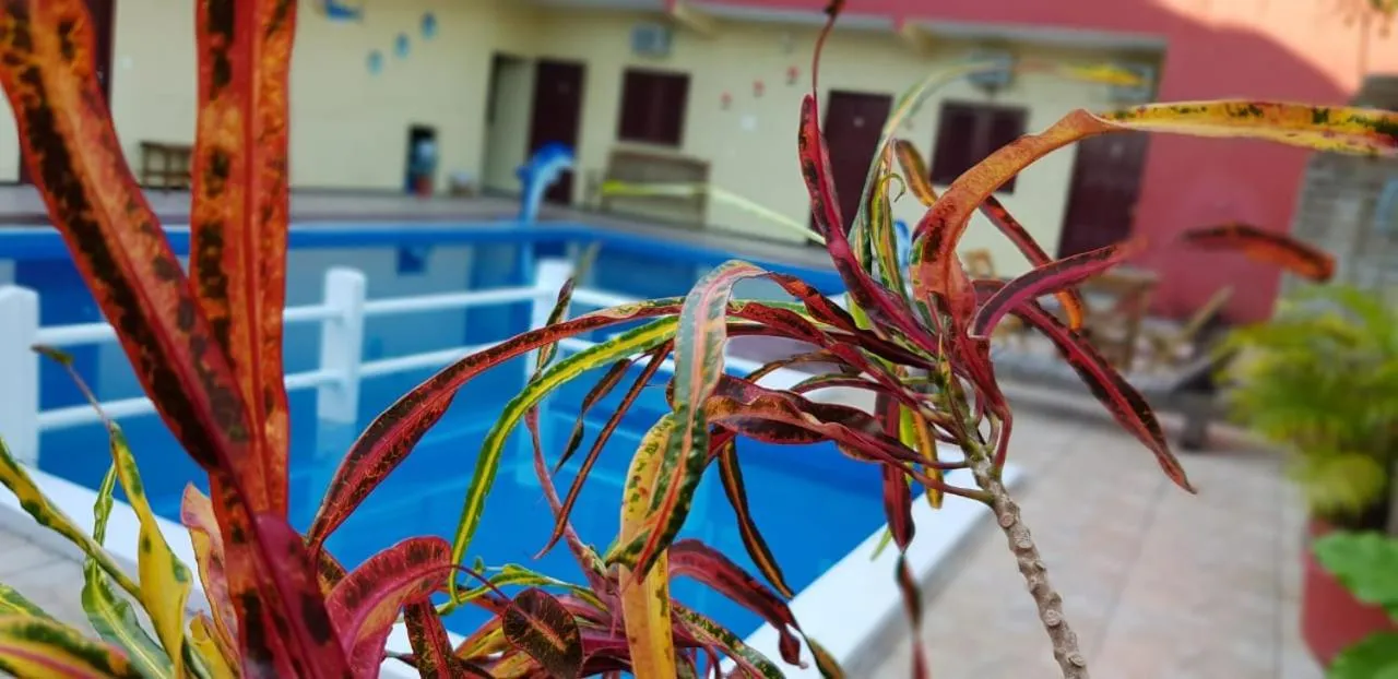 Property building in Pousada Vital