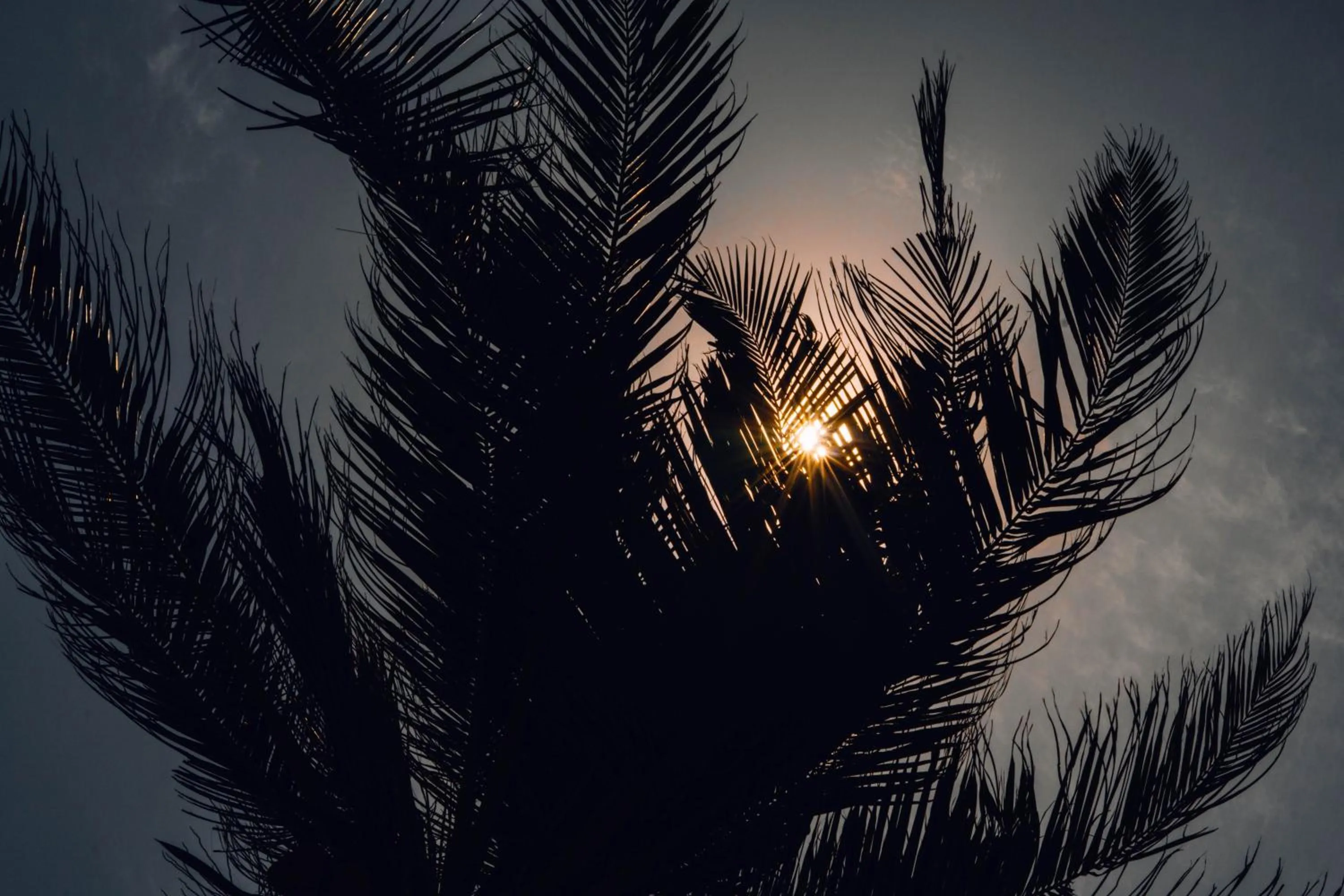 Night in Surfescape Sri Lanka