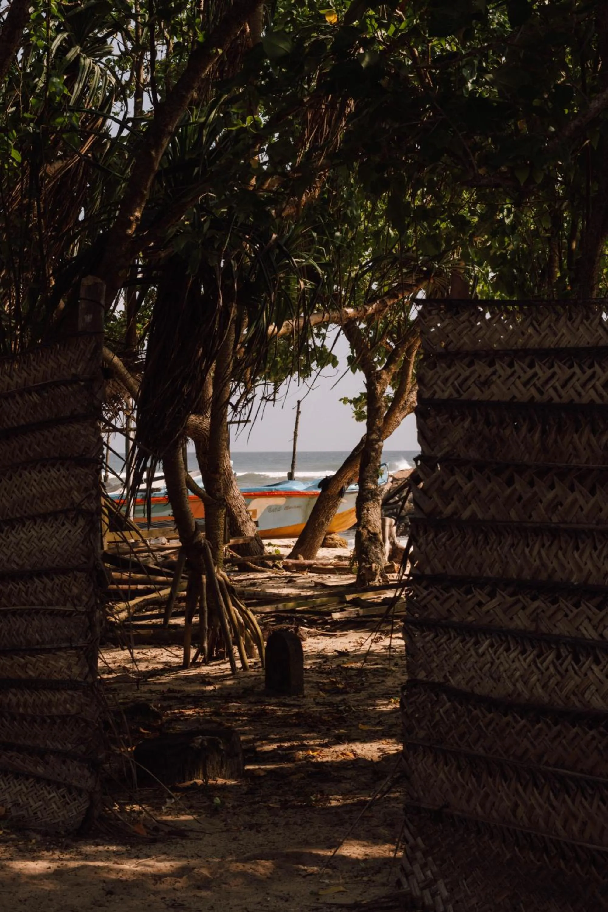 People in Surfescape Sri Lanka