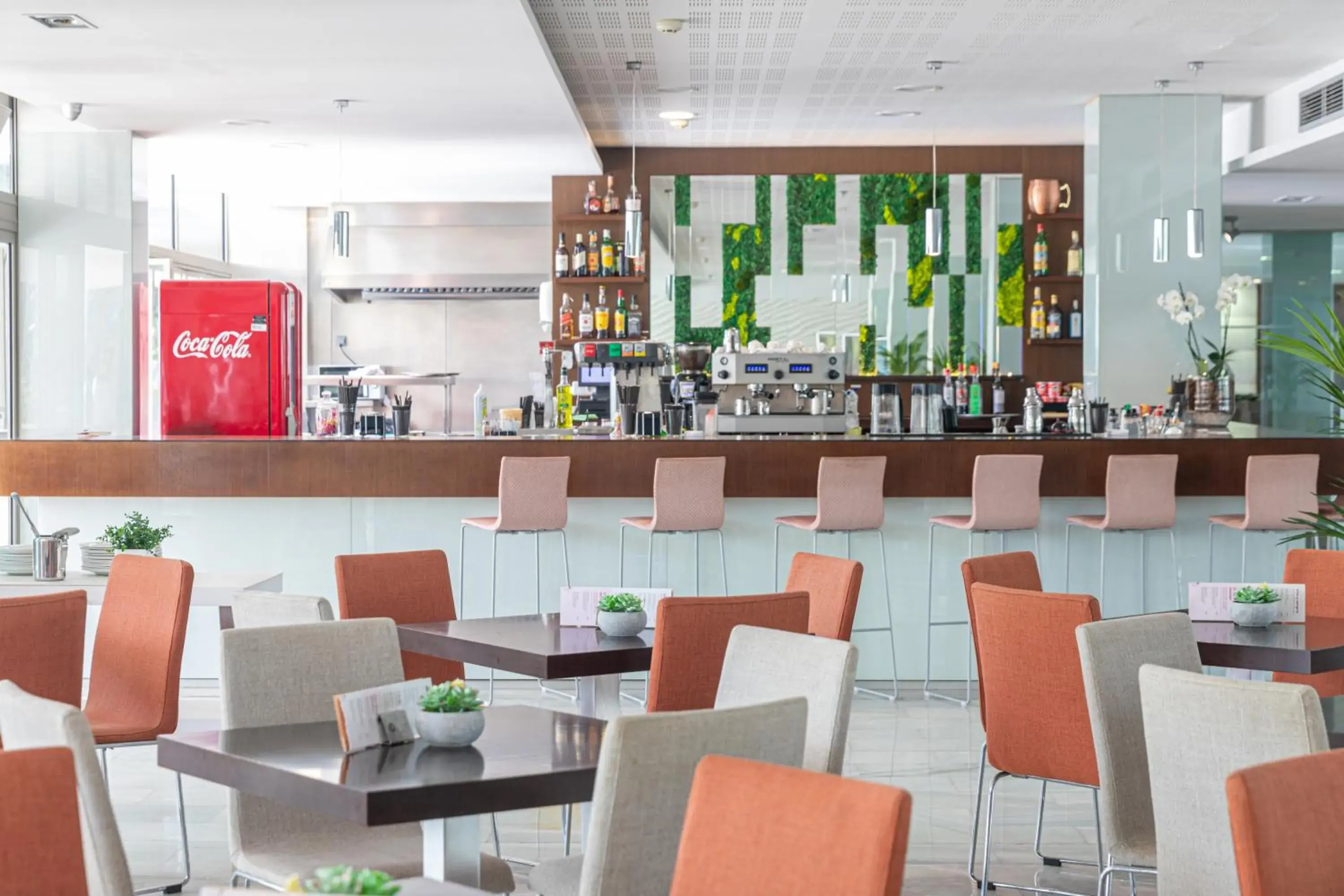 Lounge or bar in JS Sol de Alcudia Lounge or bar in JS Sol de Alcudia