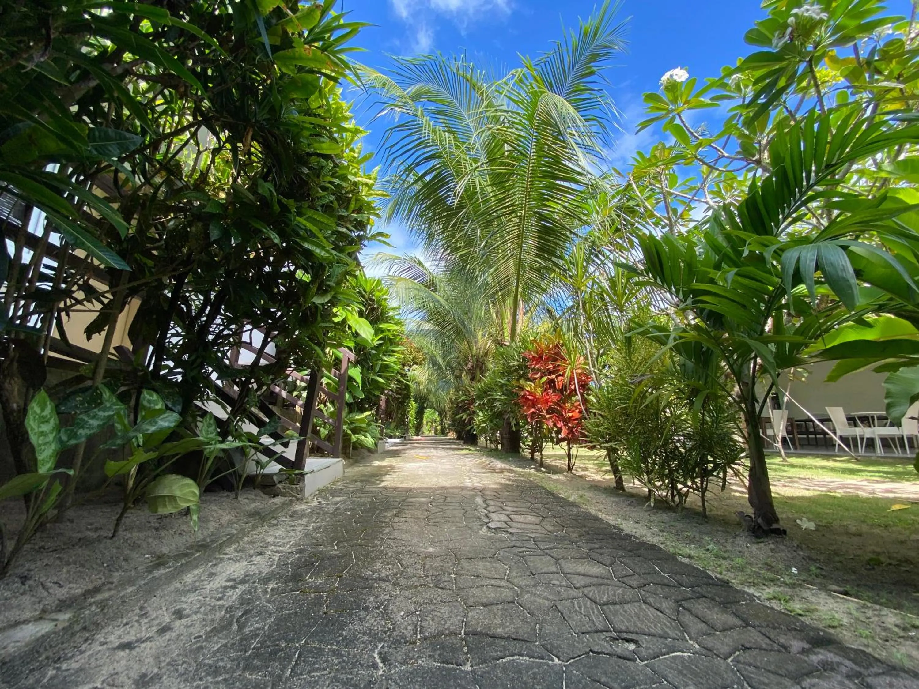 Garden in Vivo Siargao
