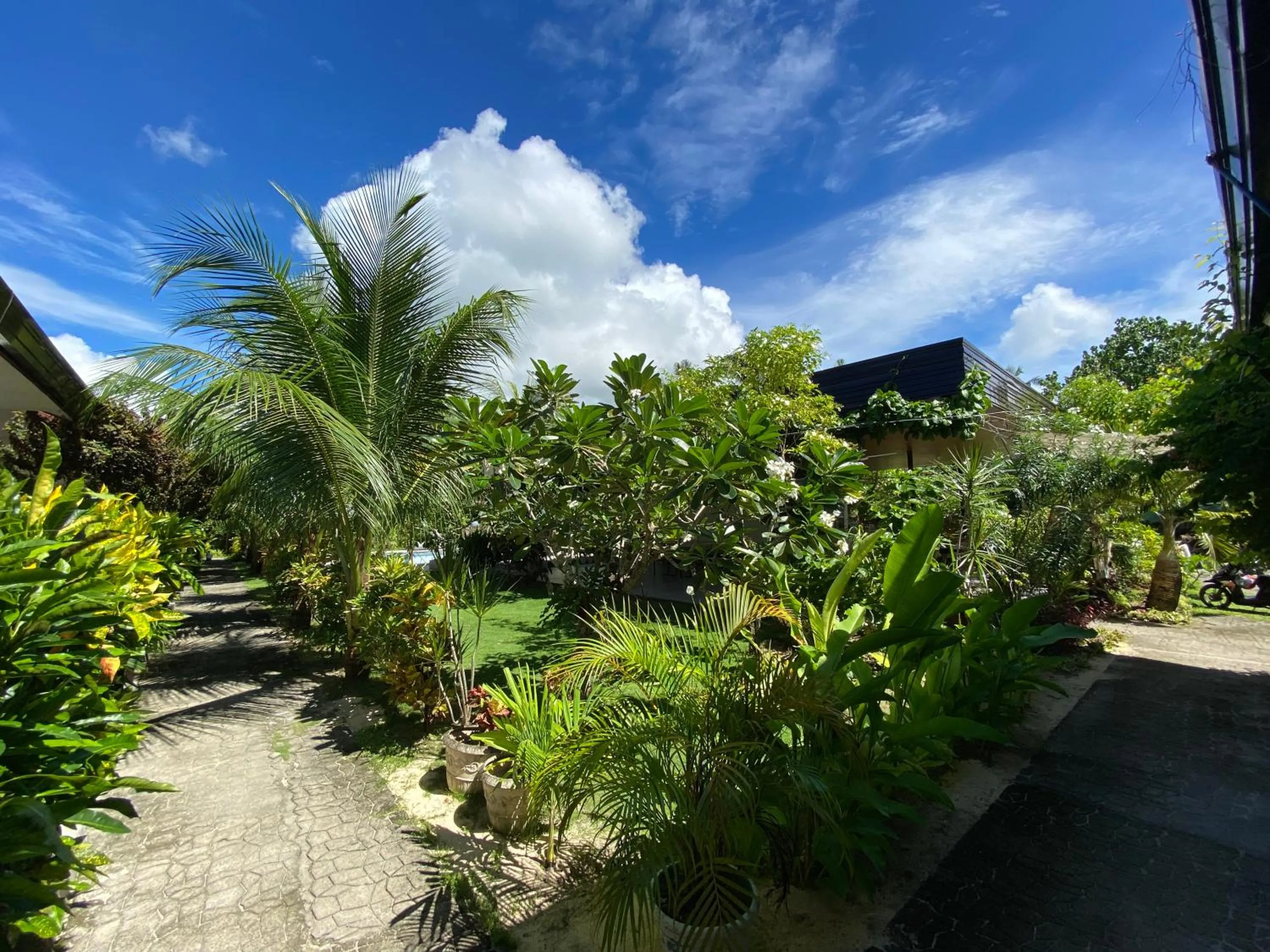 Garden in Vivo Siargao