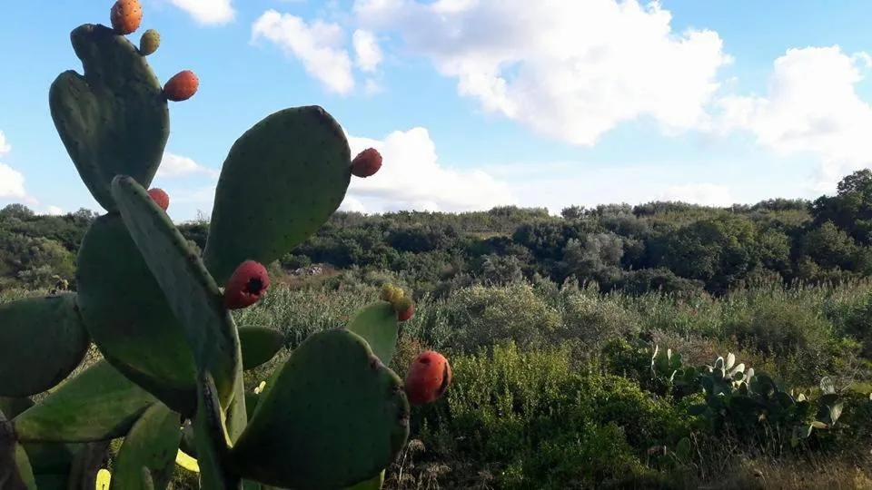Natural landscape in Posta Santa Croce