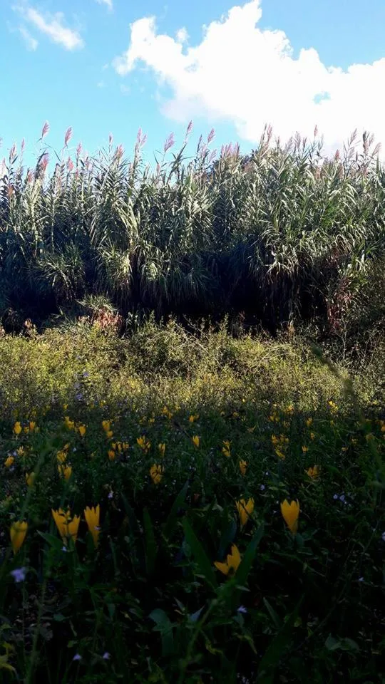 Natural landscape in Posta Santa Croce