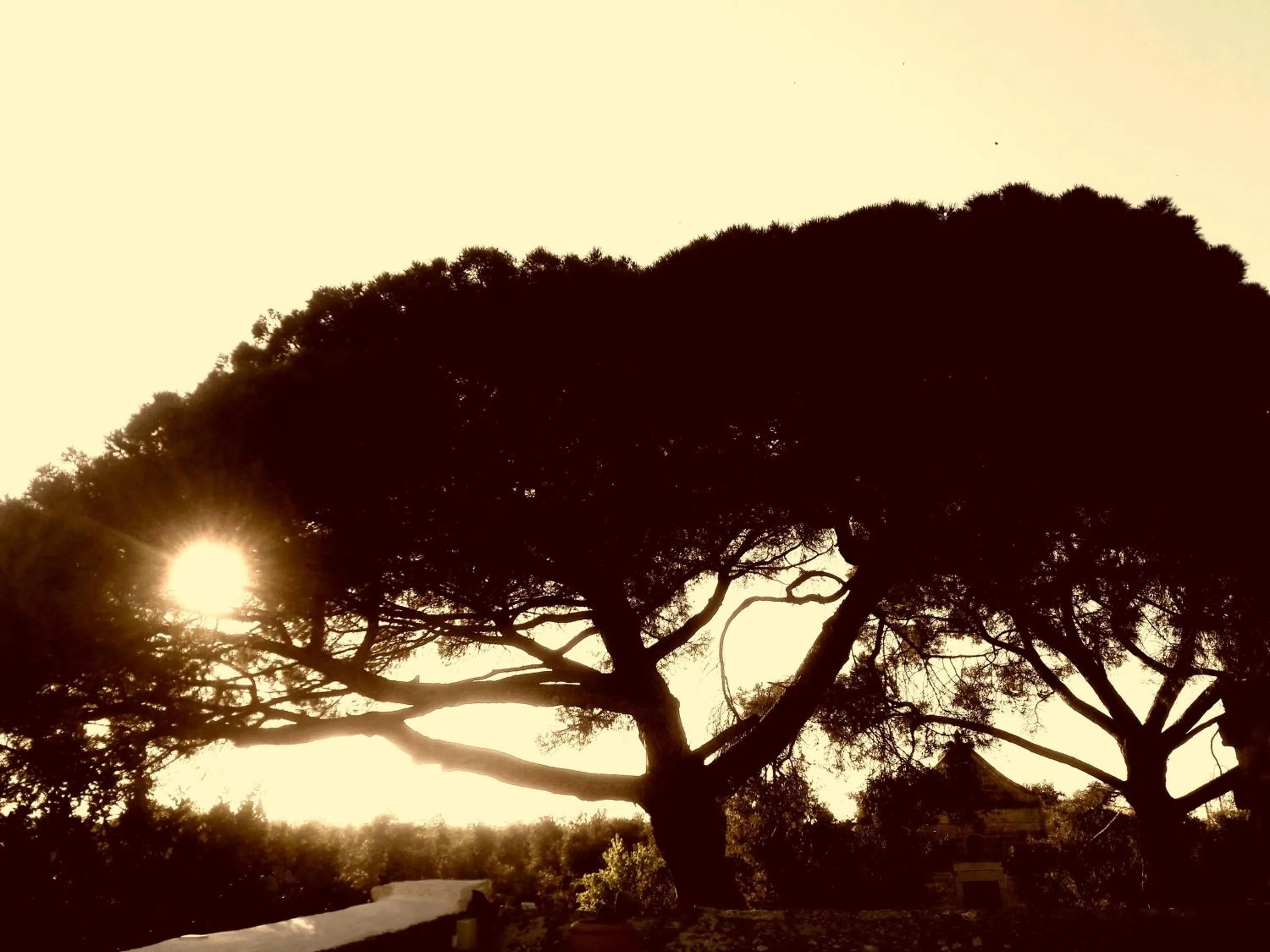 Natural landscape in Posta Santa Croce