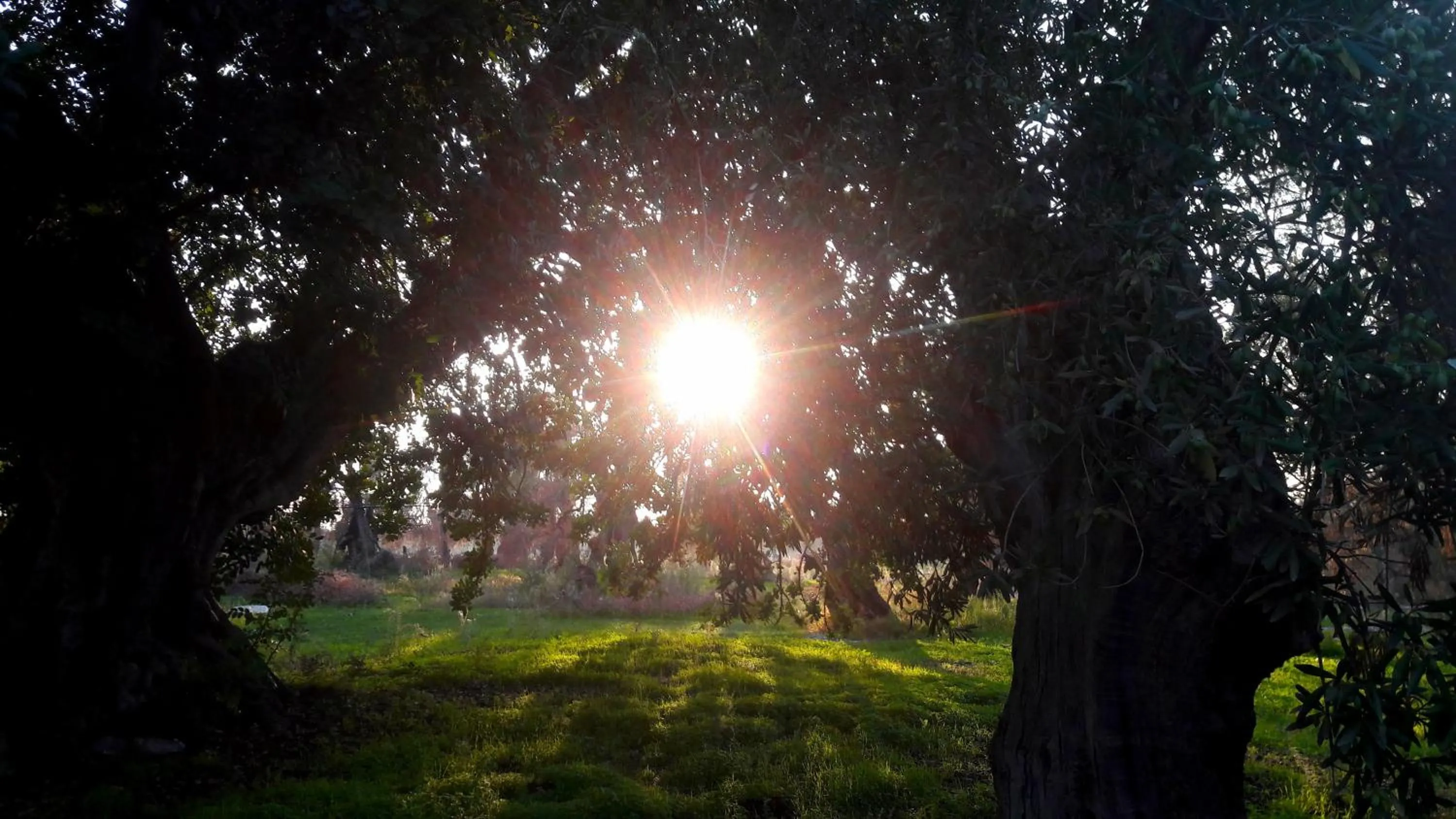 Natural landscape in Posta Santa Croce