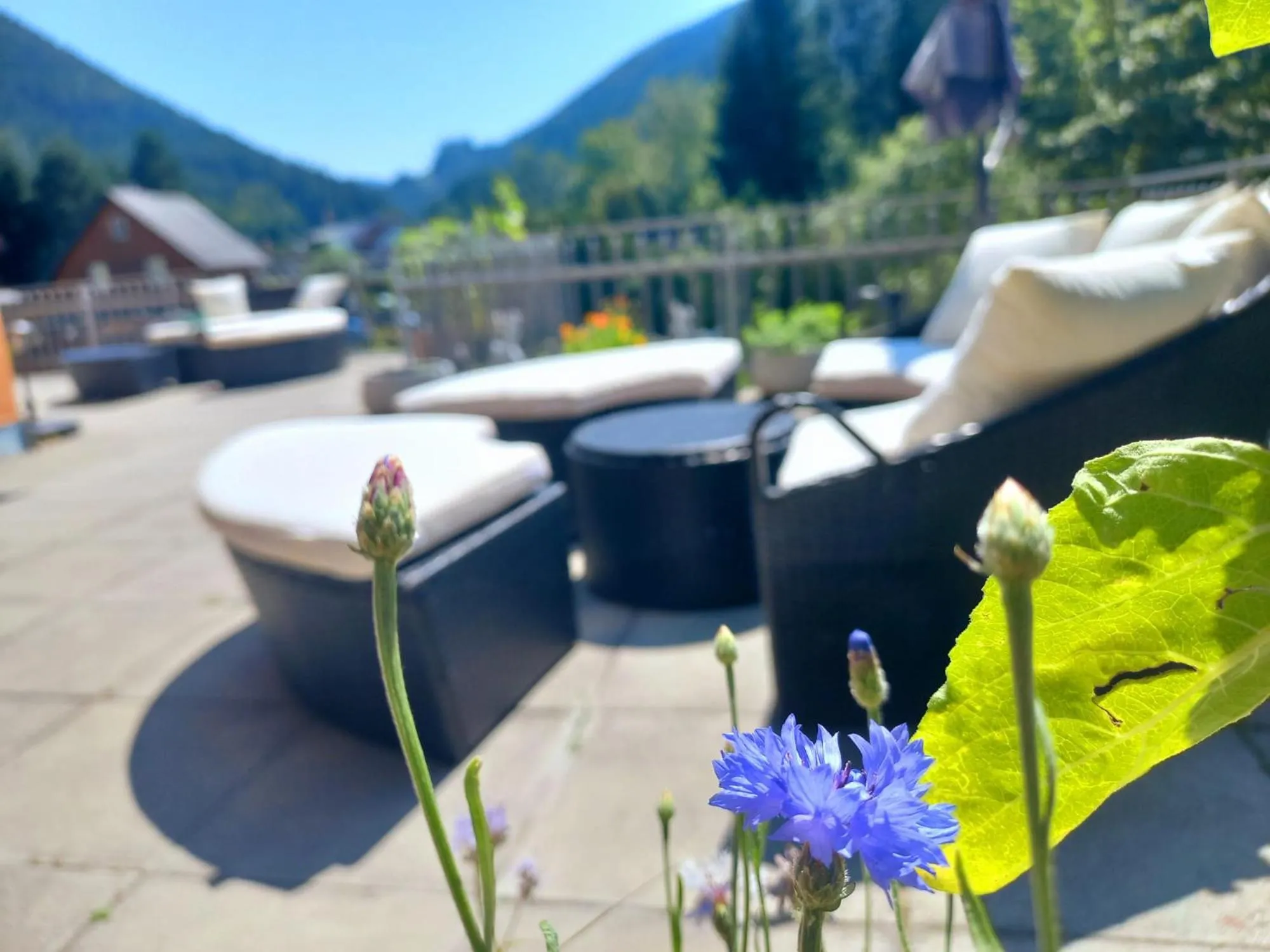 Balcony/Terrace in Frühstückspension Gasthof Gesslbauer