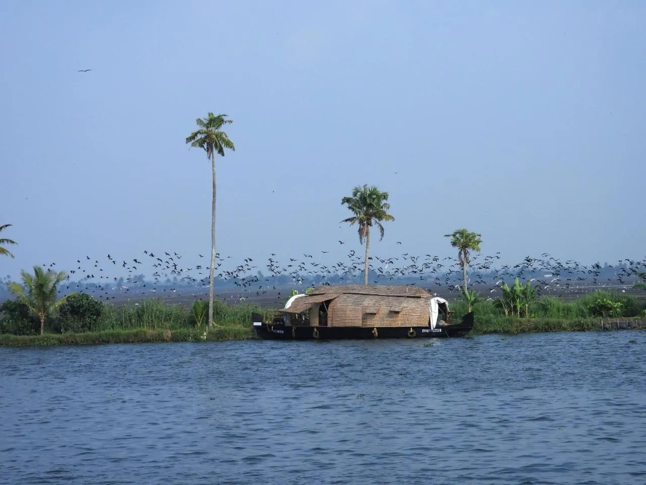 Natural landscape in Abad Premium House Boat