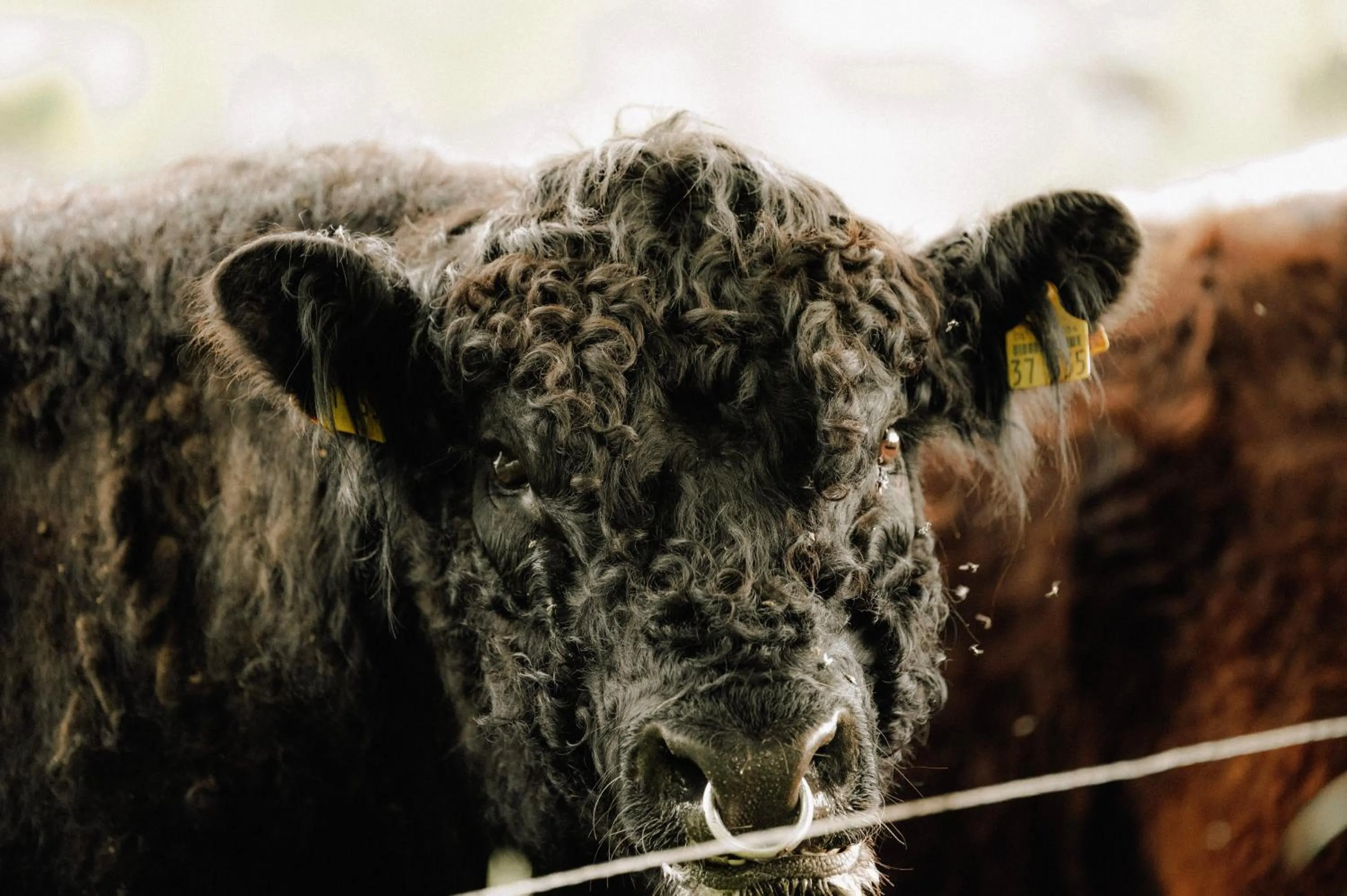 Sommers "Schöne Aussicht", Adults only