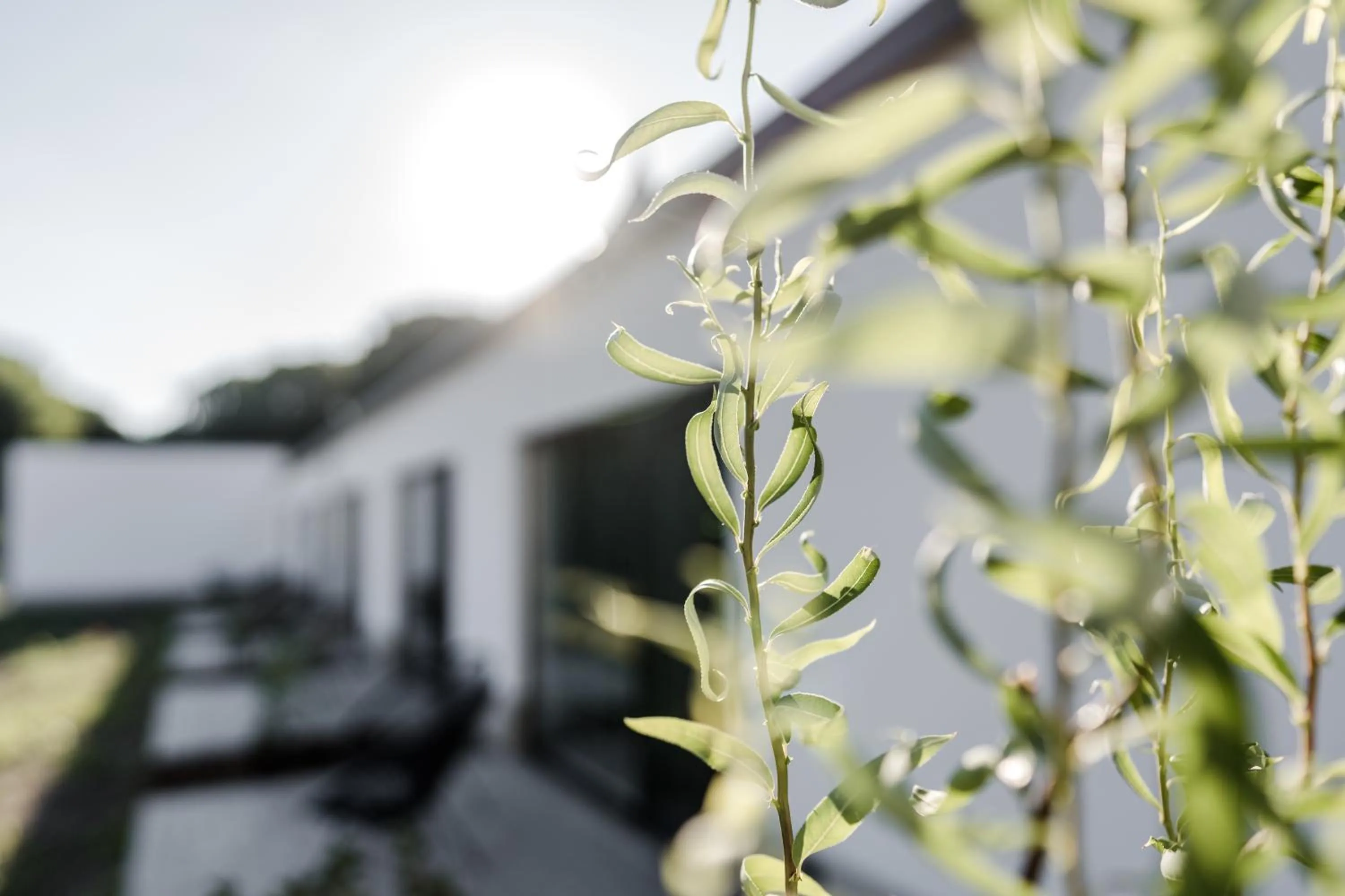 Sommers "Schöne Aussicht", Adults only