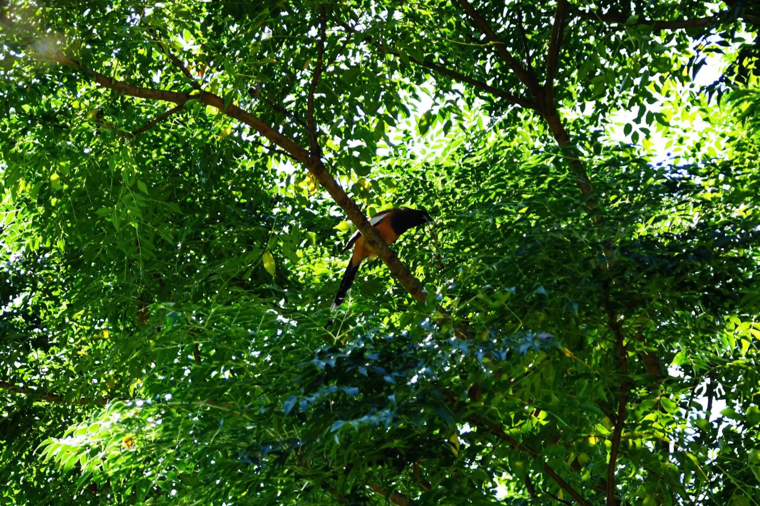Shanta Ghar A Rustic Guesthouse