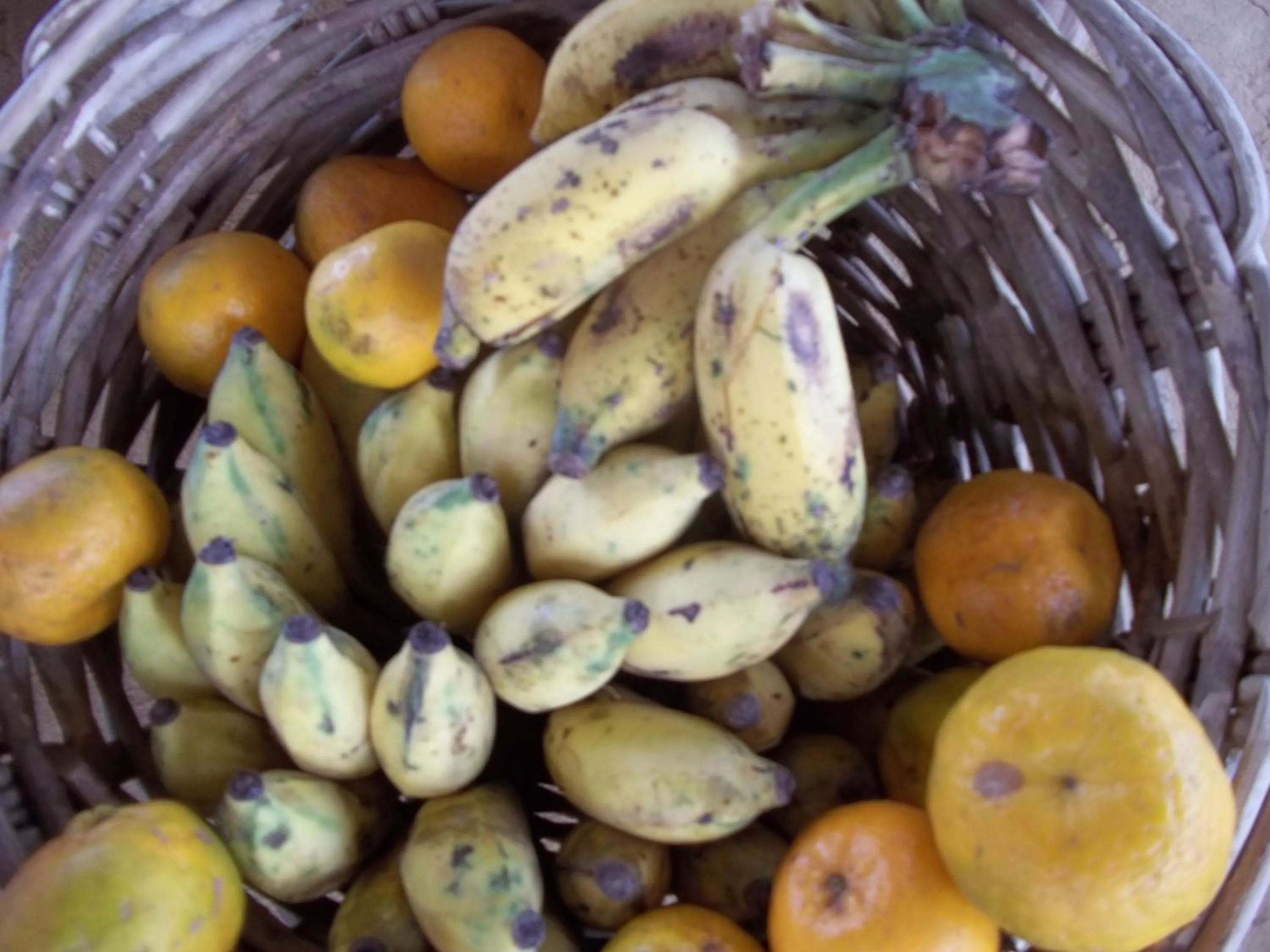 Food in Shanta Ghar A Rustic Guesthouse