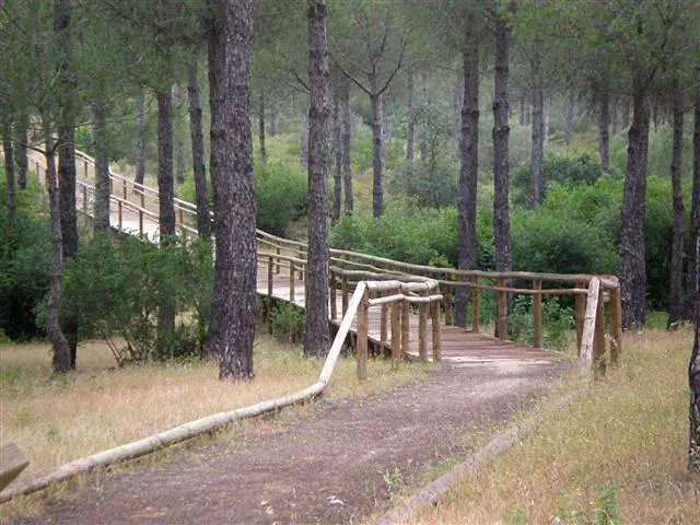 Hiking in Hotel Lince