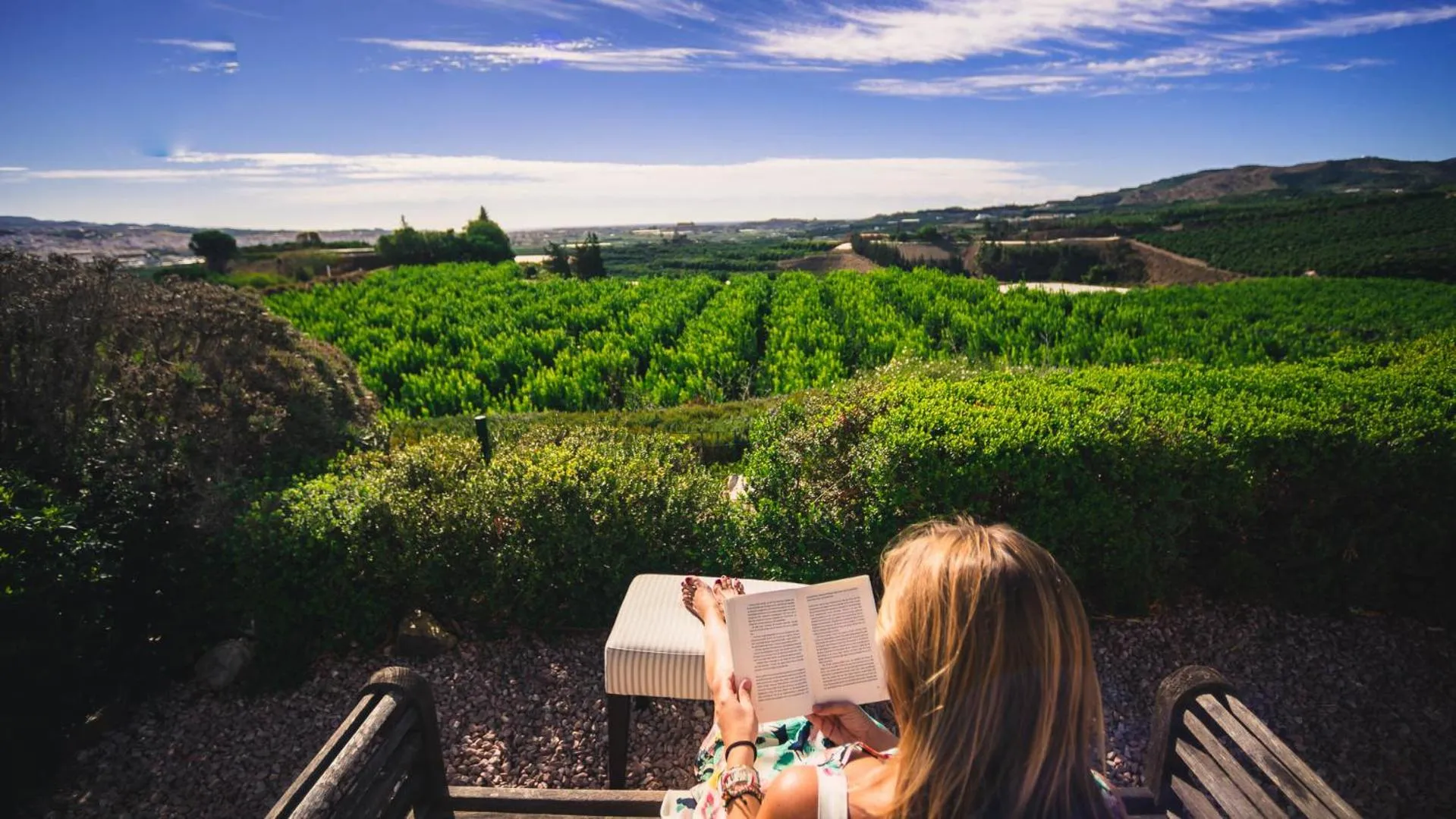 Natural landscape in B Bou Hotel Cortijo Bravo