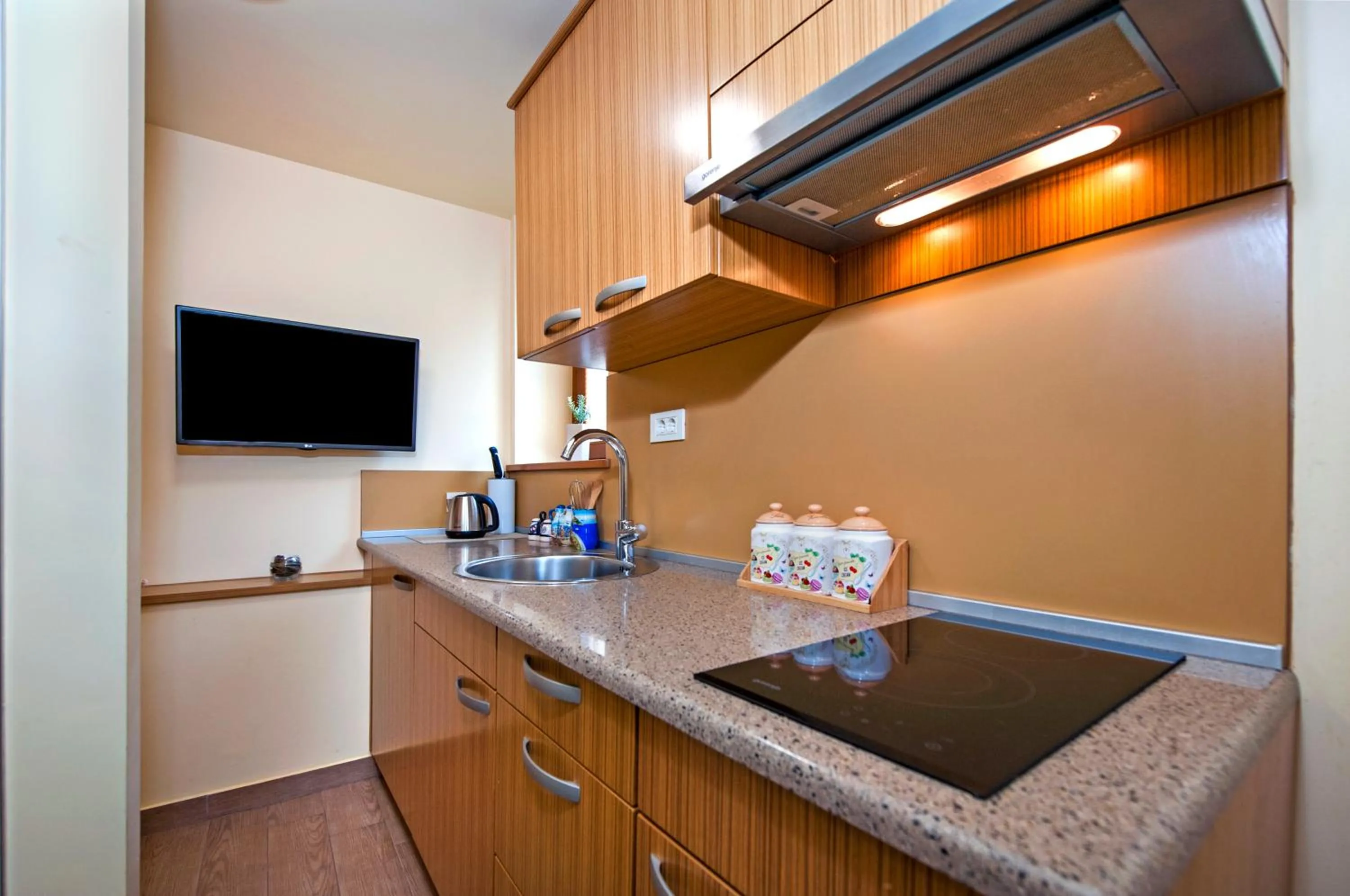 TV and multimedia in Guest House Golden Goose