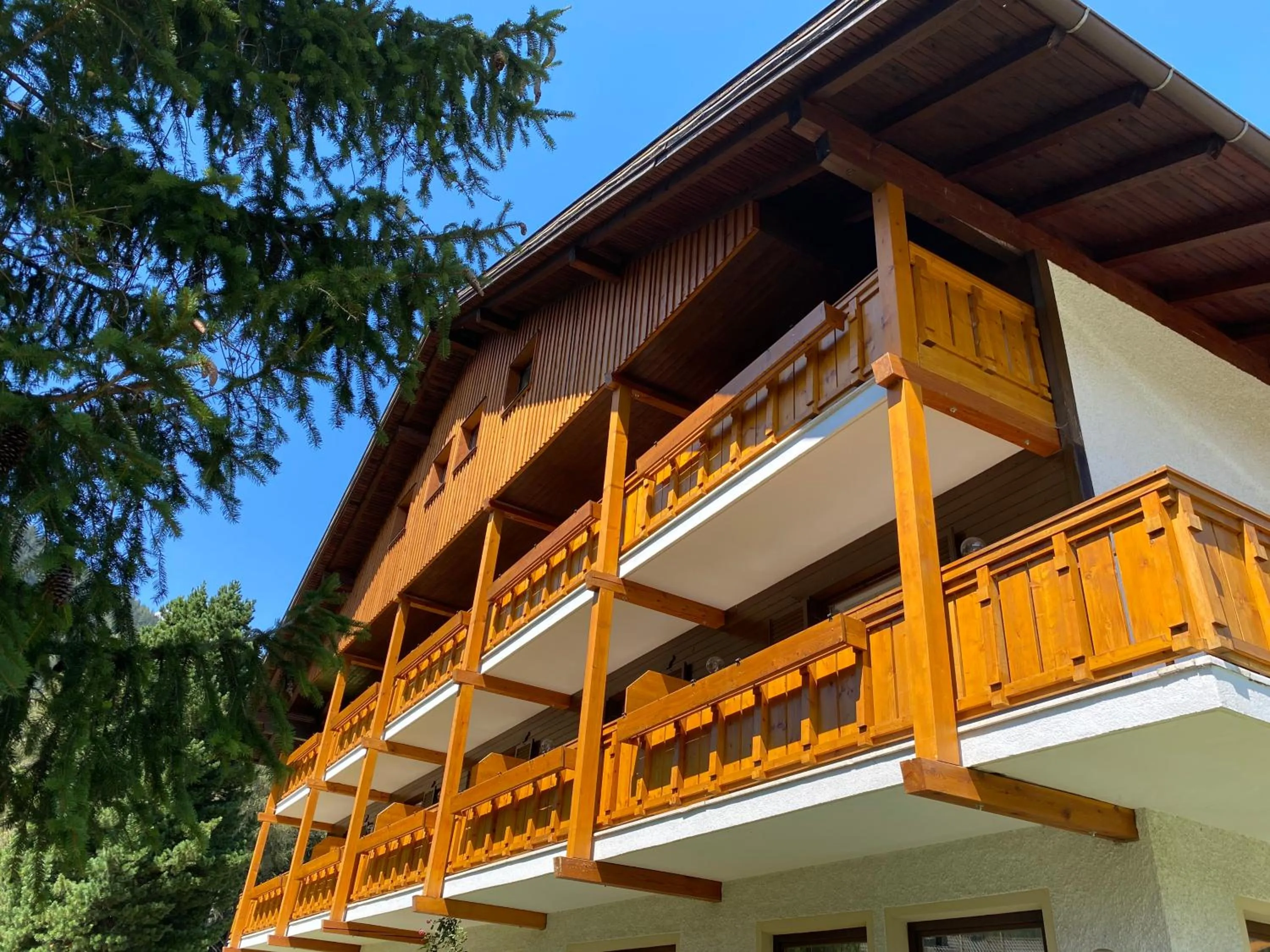 Patio in Hotel Friedemann