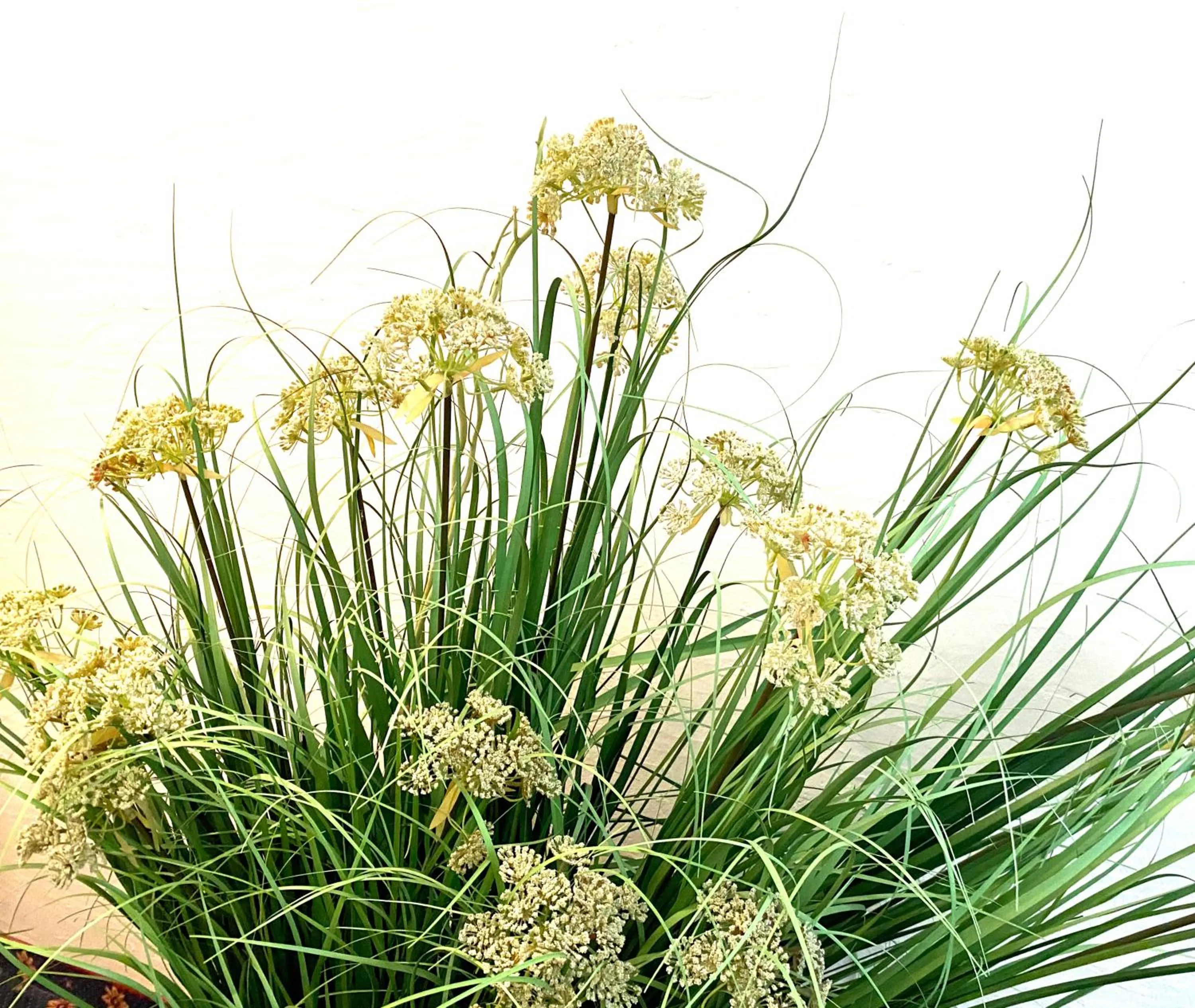 Natural landscape in Hotel Friedemann