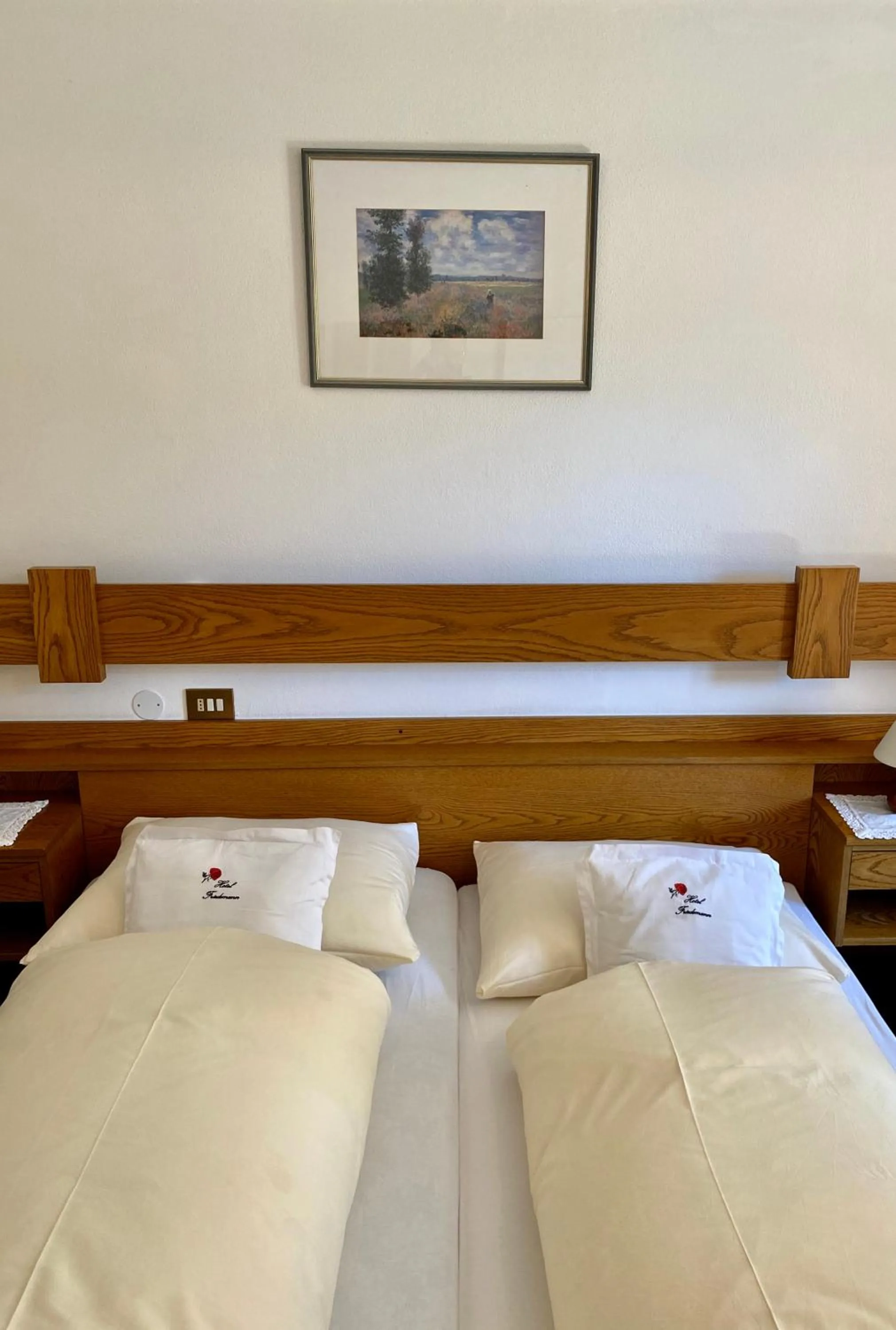 Photo of the whole room, Bed in Hotel Friedemann