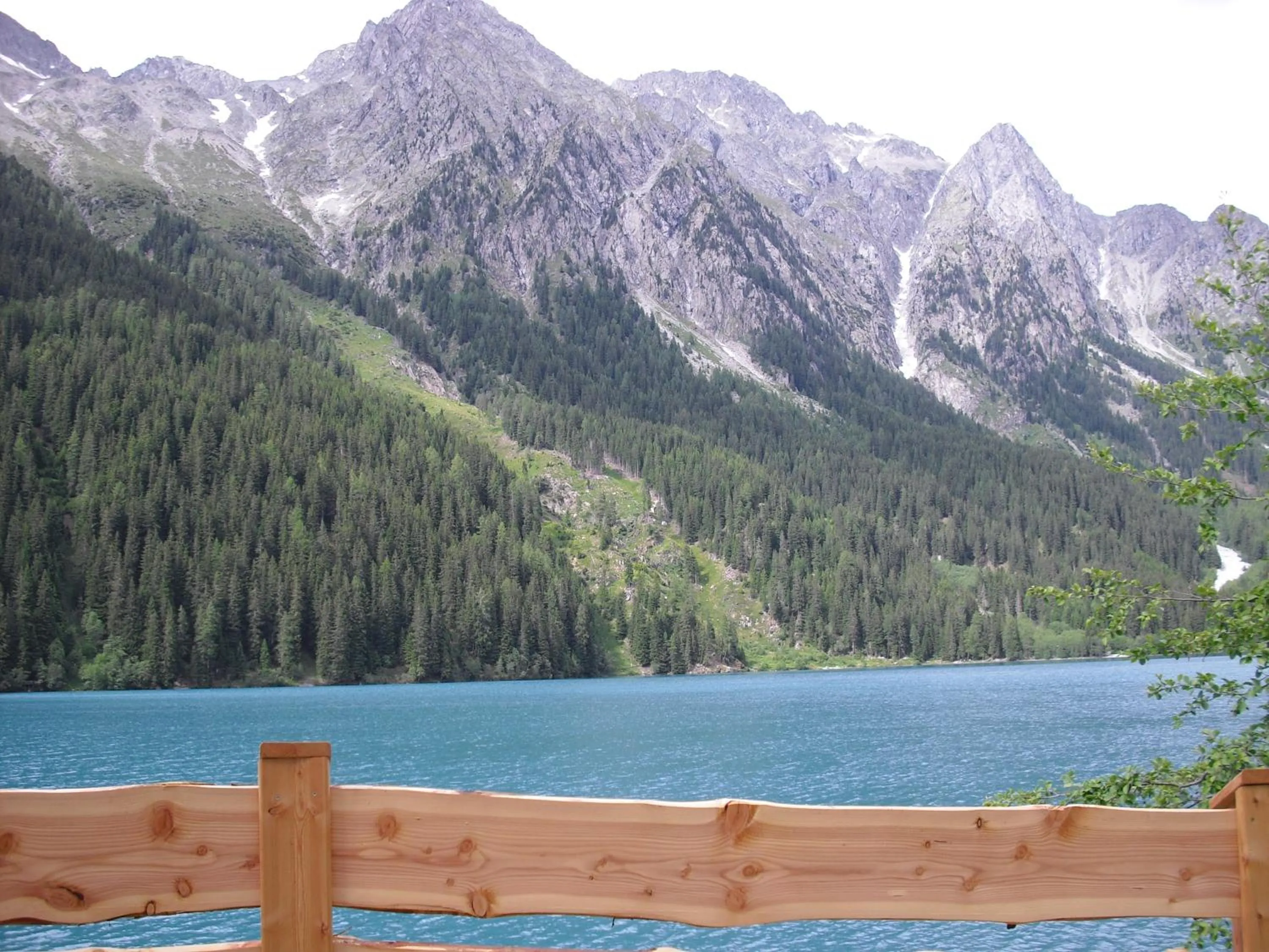 Natural landscape in Hotel Friedemann