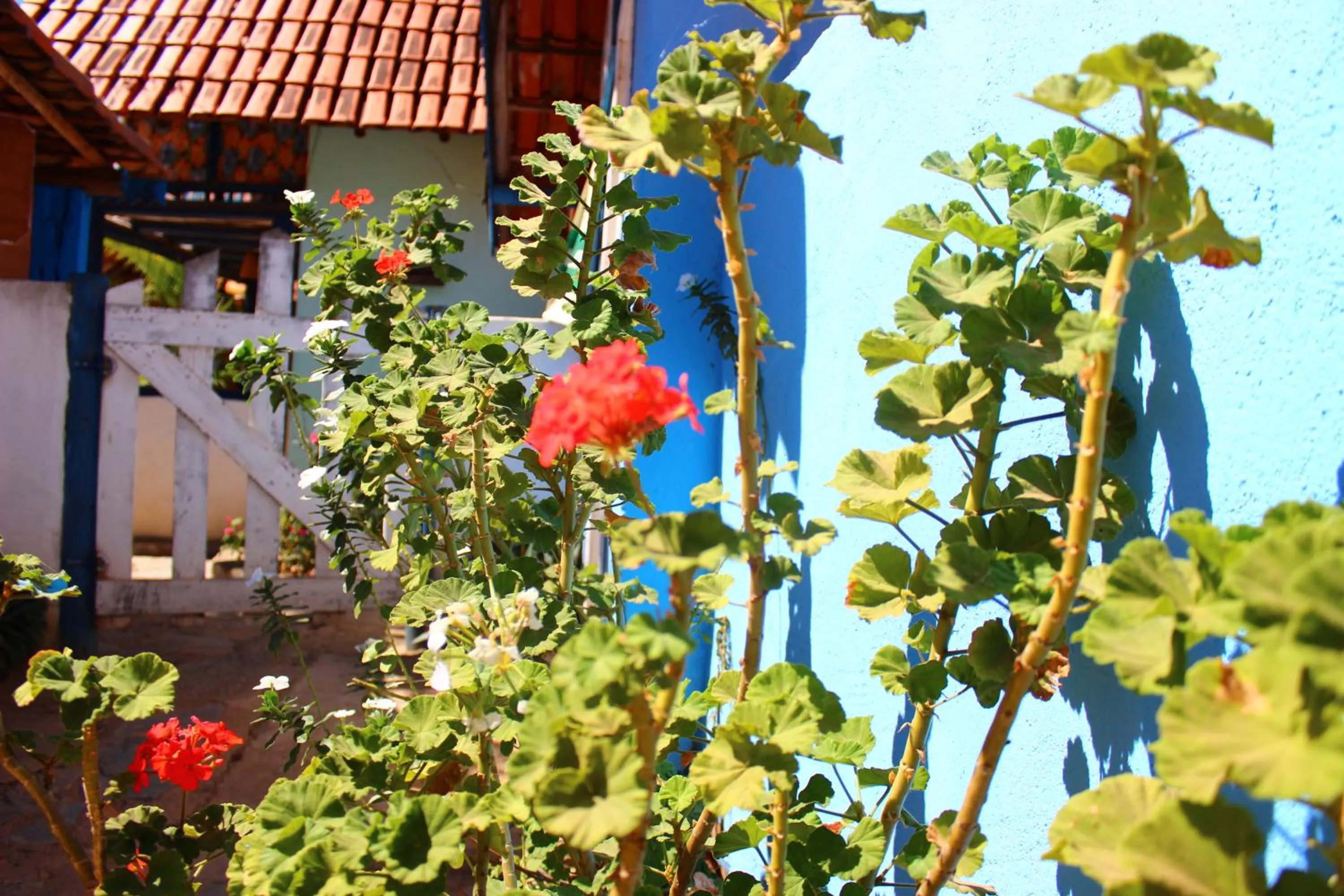 Decorative detail in Pousada Vila Cipó