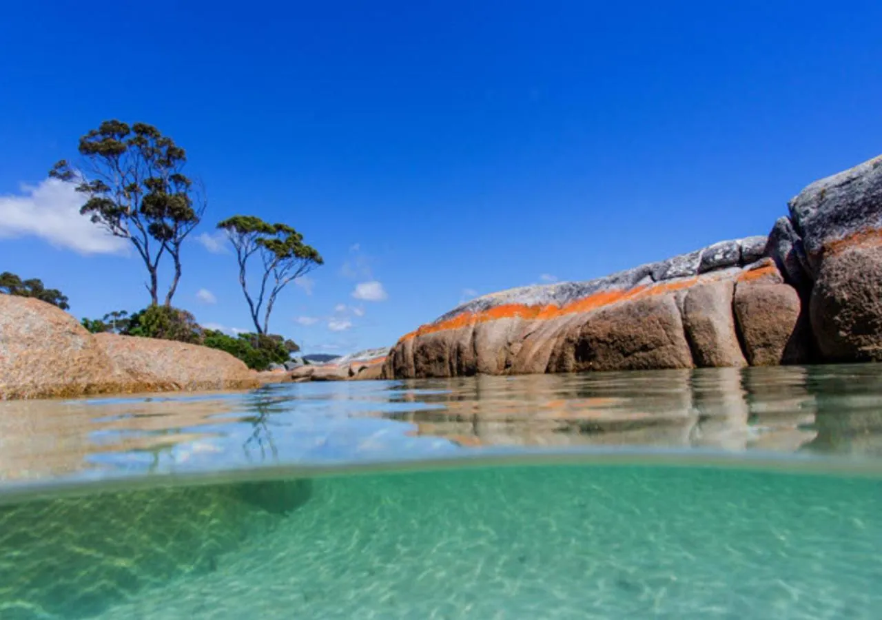 Natural landscape in BIG4 Tassie Getaway Parks St Helens